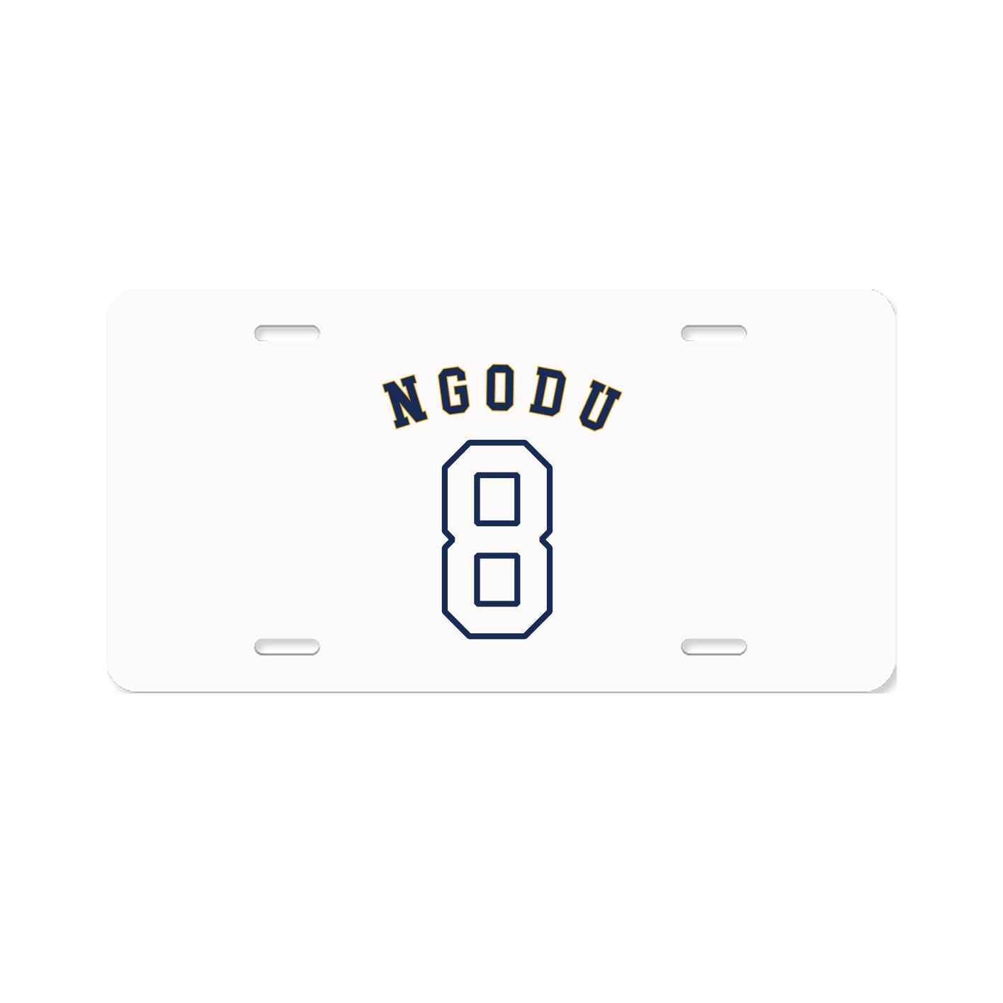 License Plate