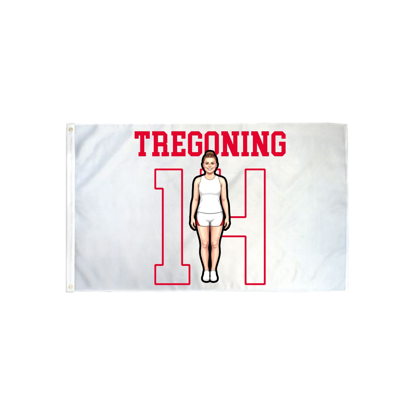 3x5 Flag — Shirsey in Classic