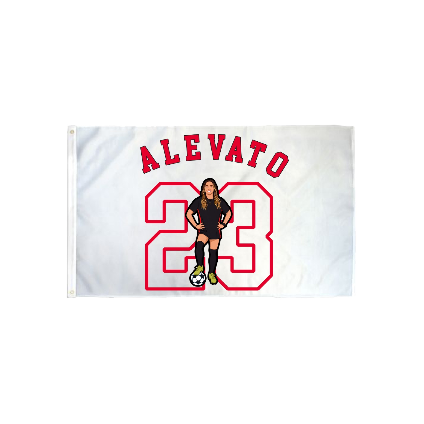 3x5 Flag — Shirsey Arch in Classic