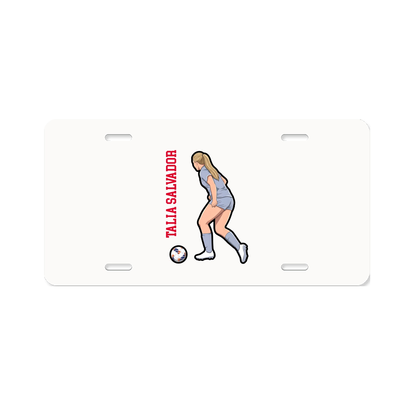 Aluminum License Plate