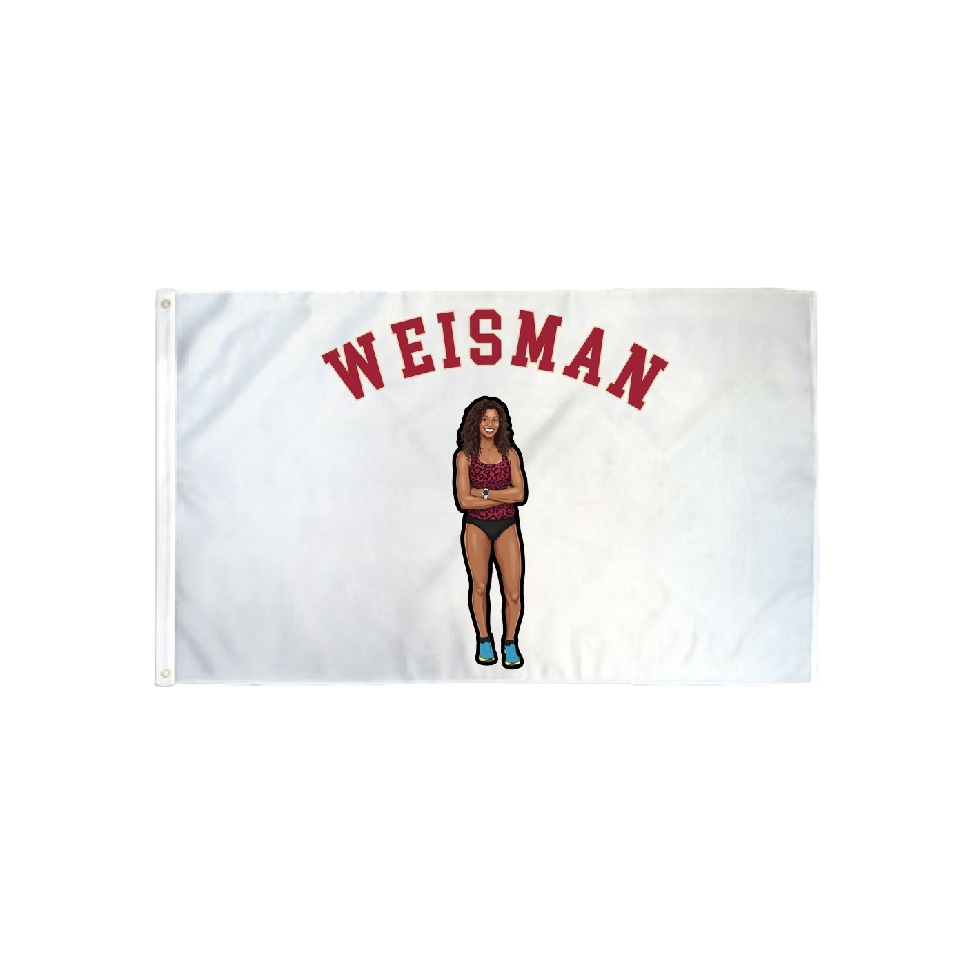3x5 Flag — Shirsey Arch in Classic