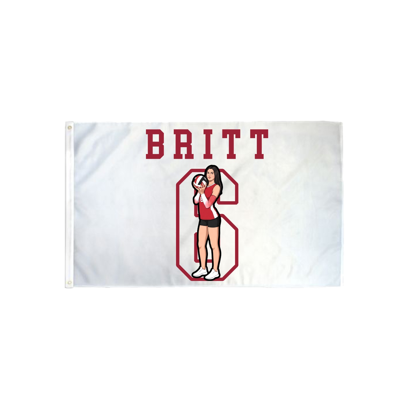 3x5 Flag — Shirsey in Classic