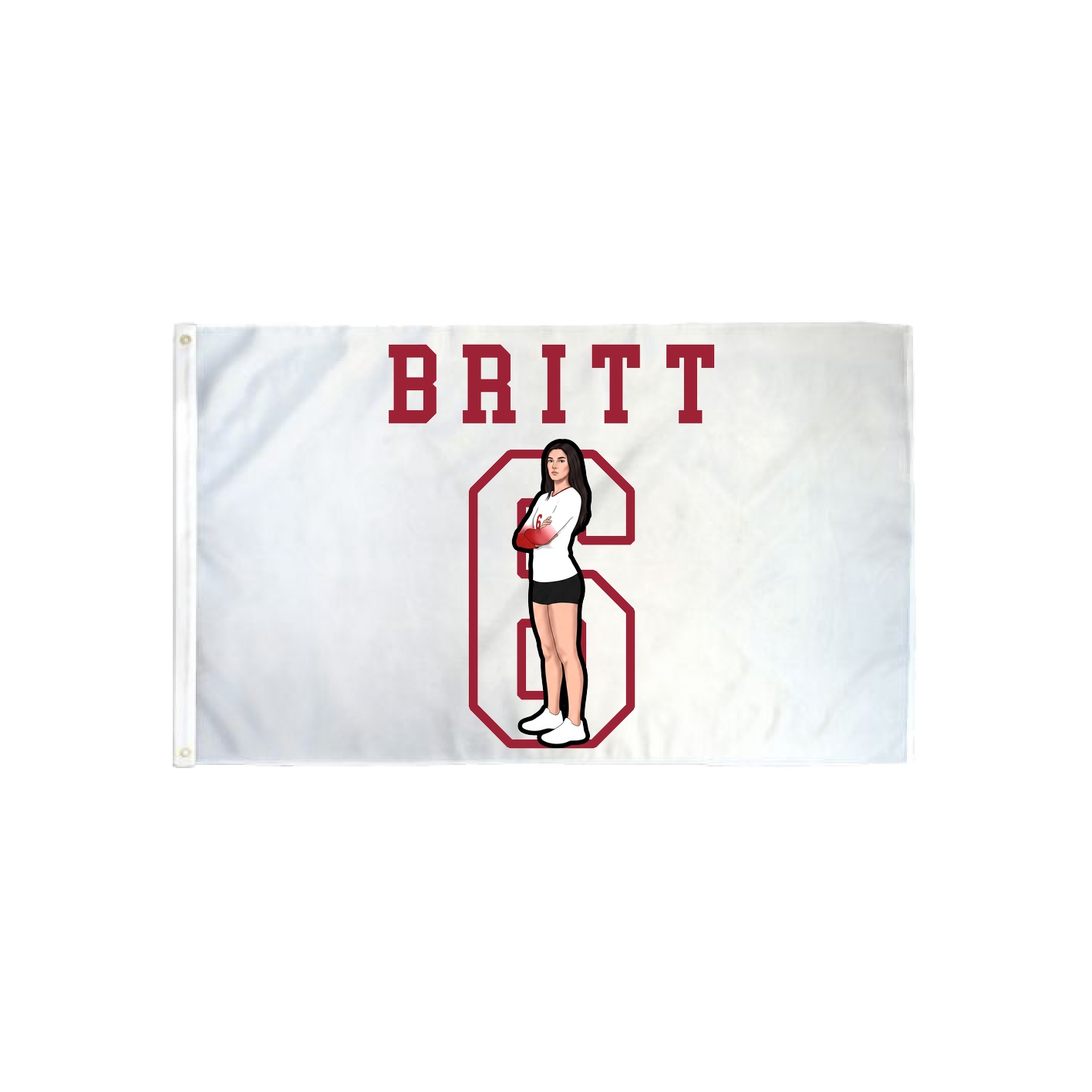 3x5 Flag — Shirsey in Classic