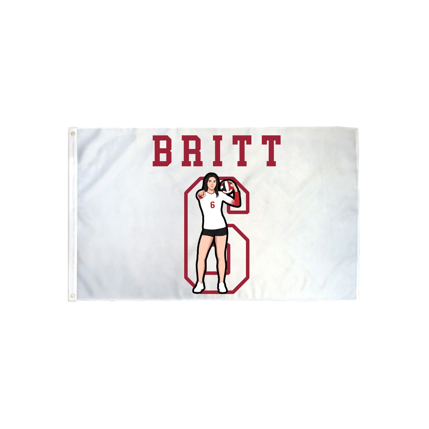3x5 Flag — Shirsey in Classic