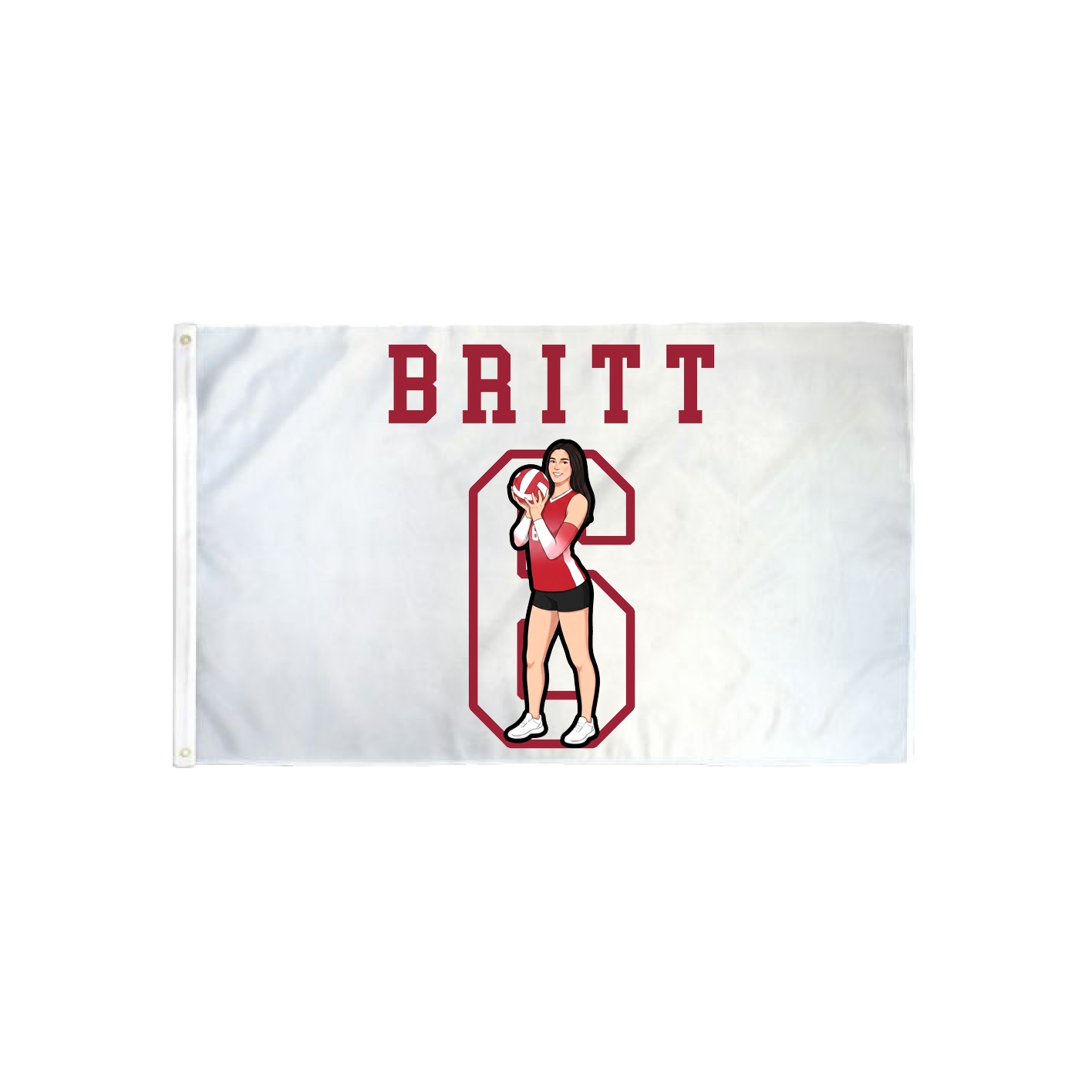 3x5 Flag — Shirsey in Classic