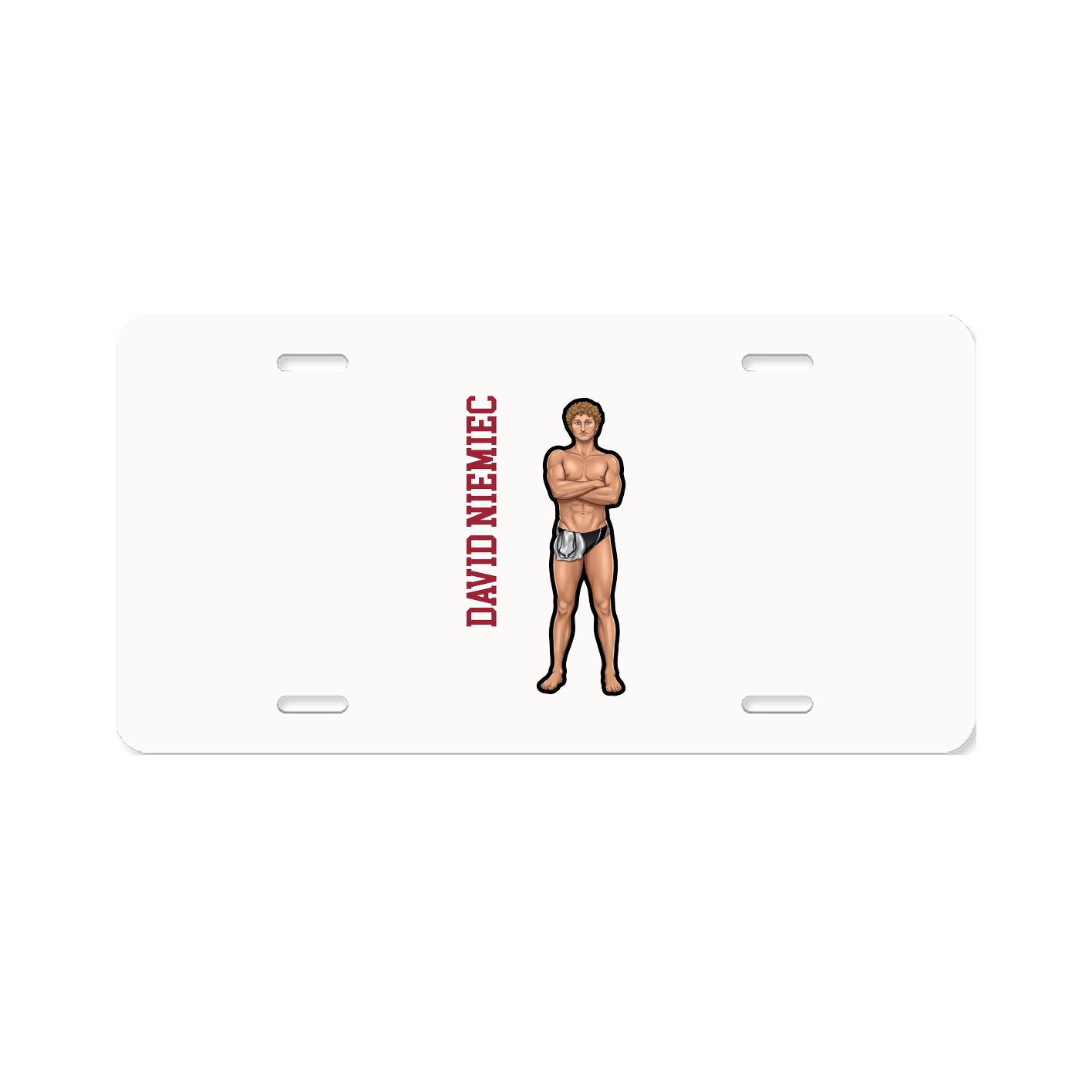 Aluminum License Plate