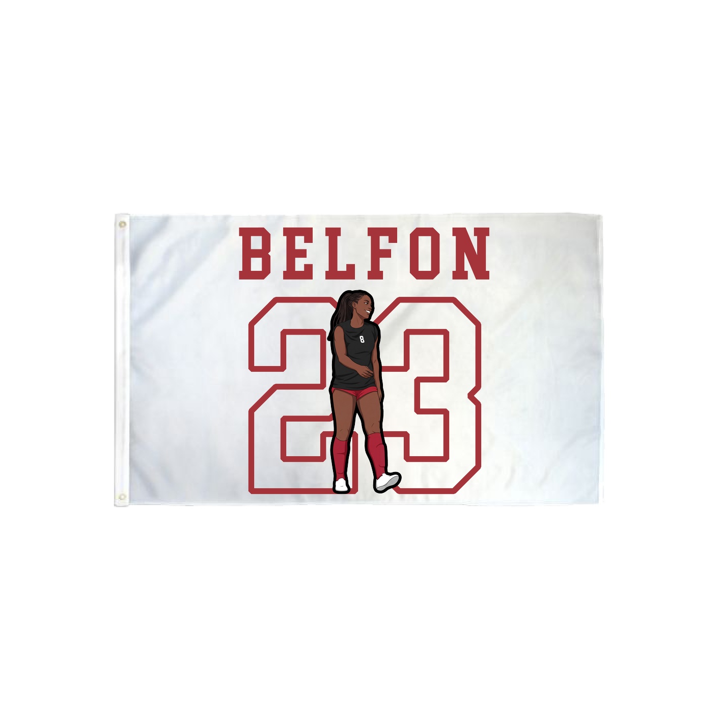3x5 Flag — Shirsey in Classic