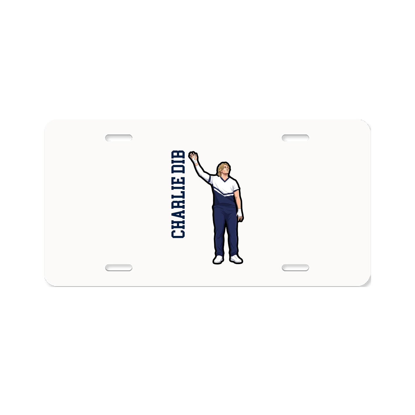 Aluminum License Plate
