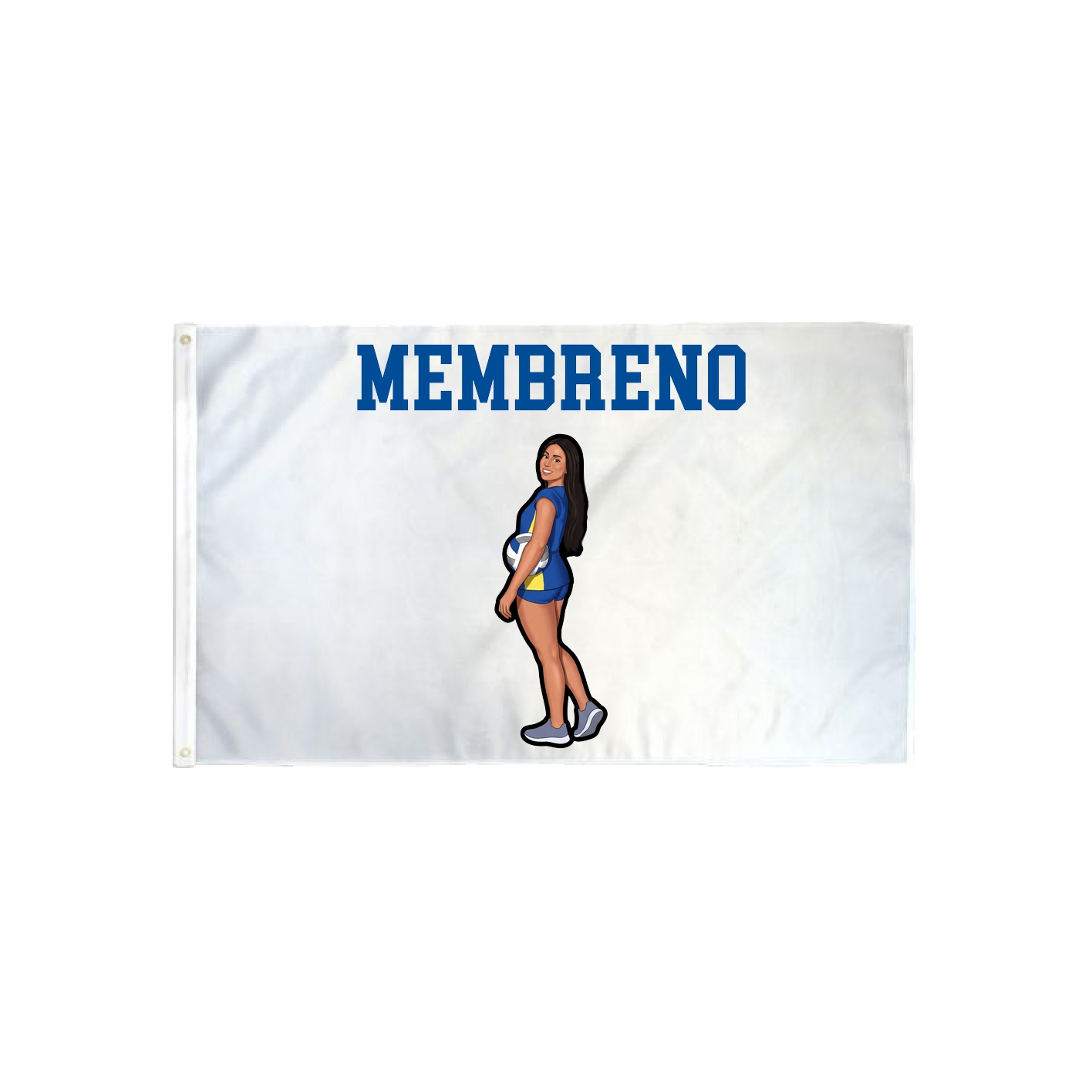 3x5 Flag — Shirsey in Classic