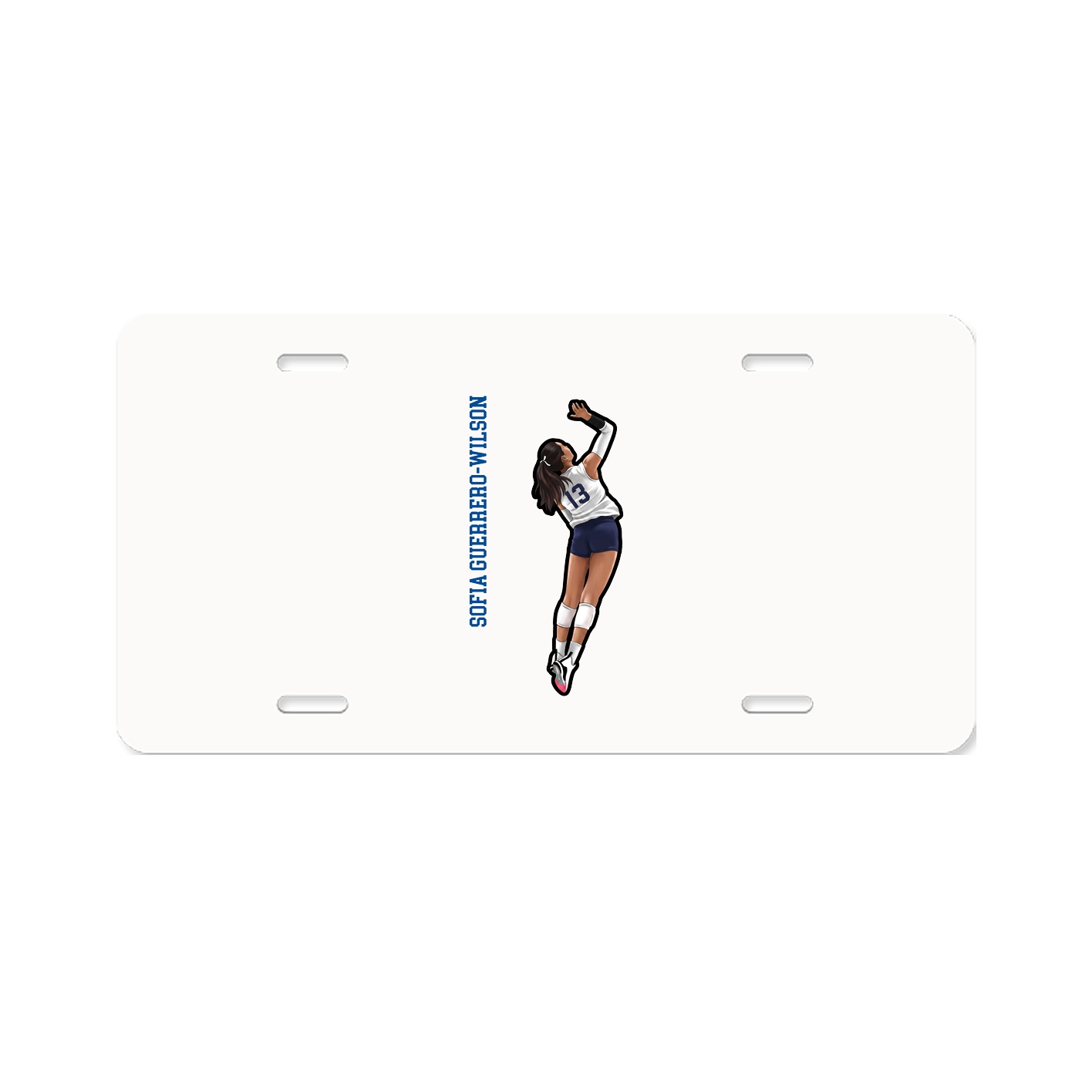 License Plate