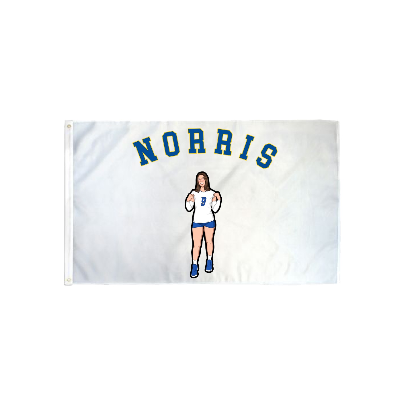 3x5 Flag — Shirsey Arch in Classic