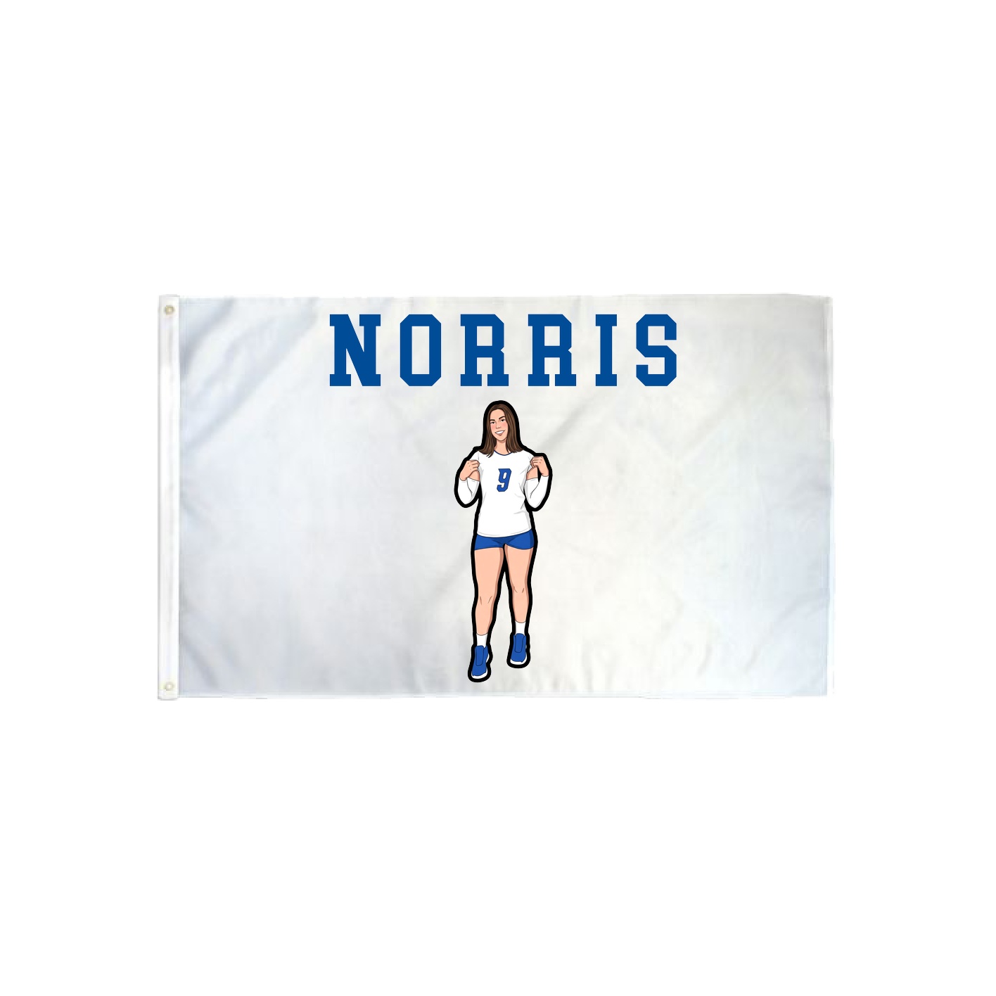 3x5 Flag — Shirsey in Classic