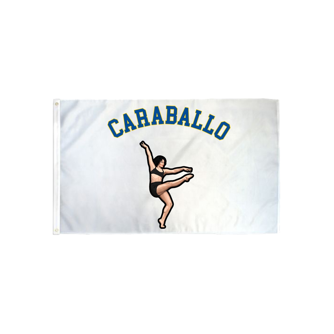 3x5 Flag — Shirsey Arch in Classic