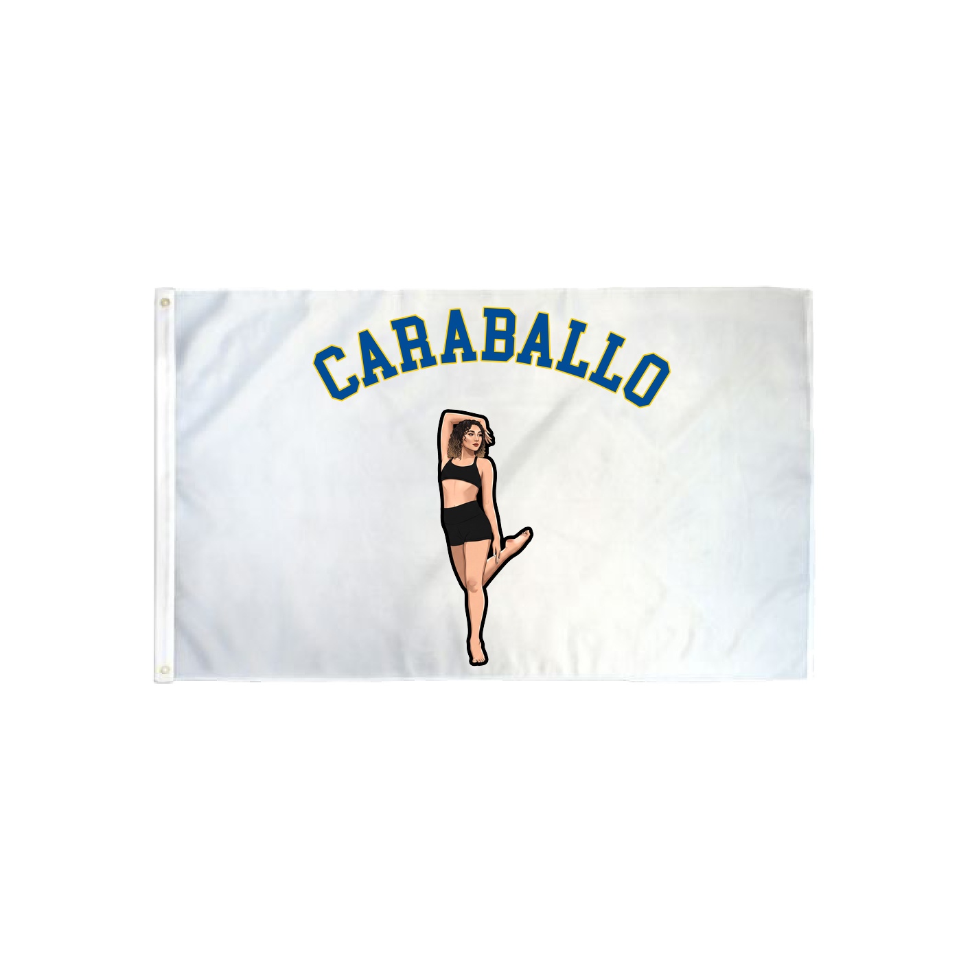 3x5 Flag — Shirsey Arch in Classic