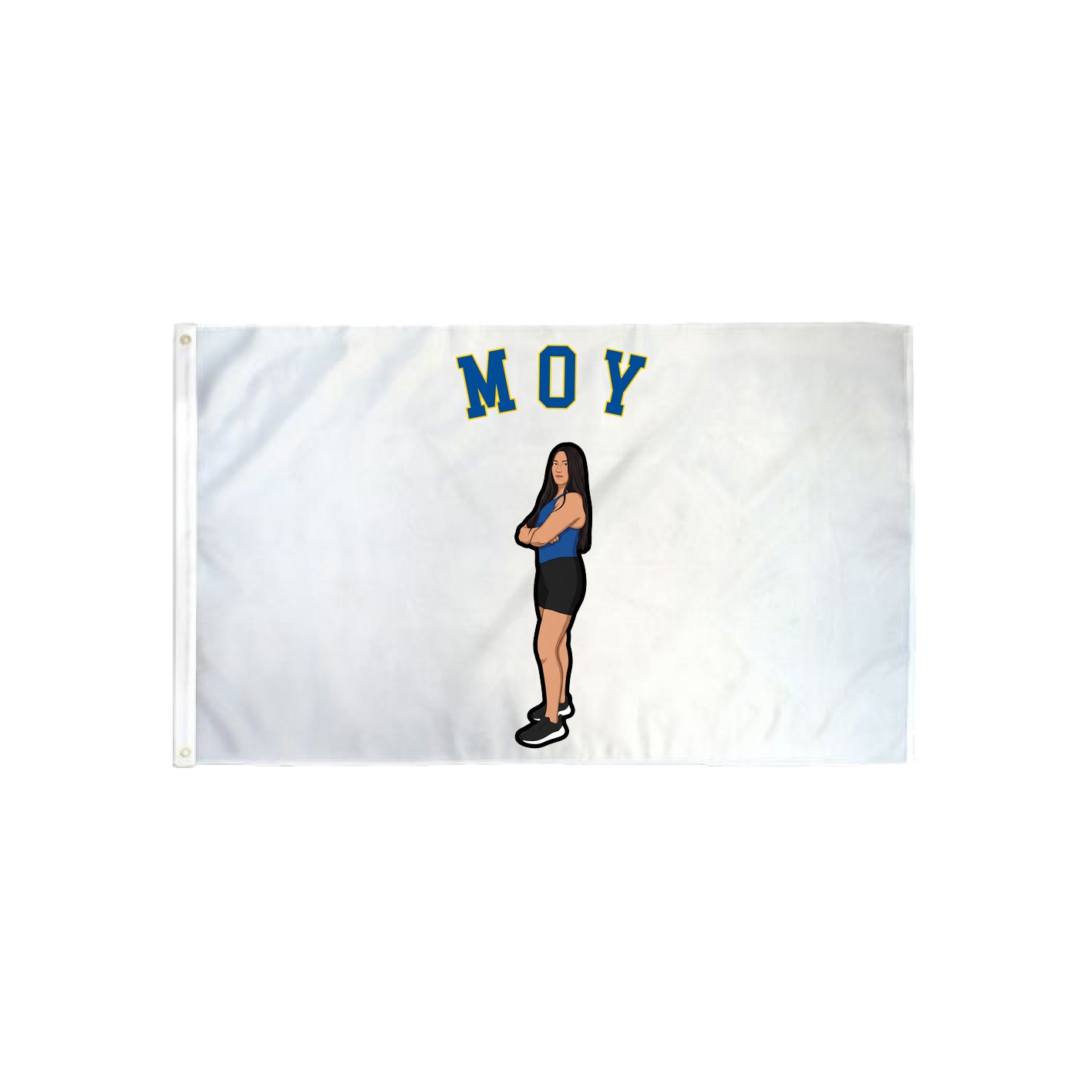 3x5 Flag — Shirsey Arch in Classic