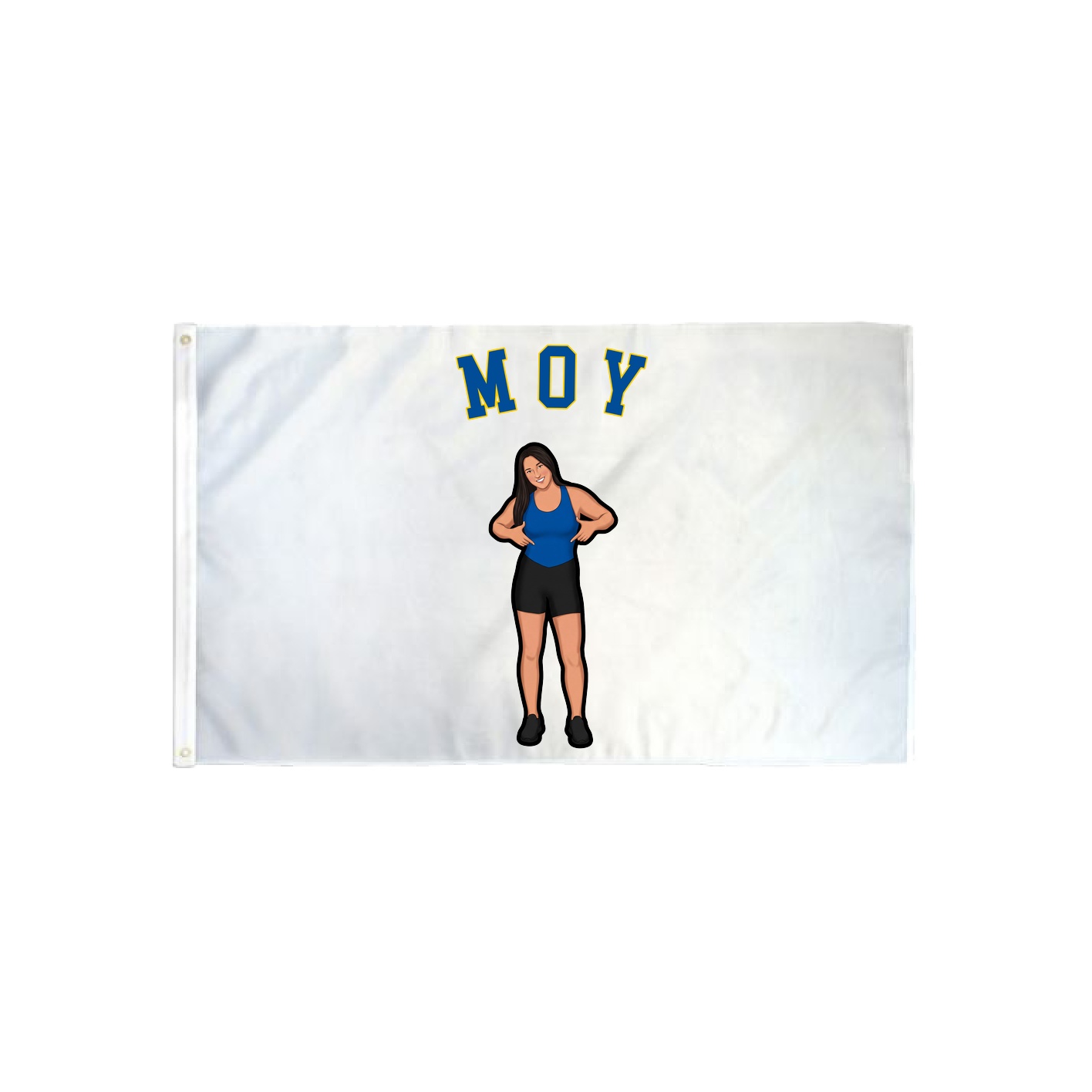 3x5 Flag — Shirsey Arch in Classic