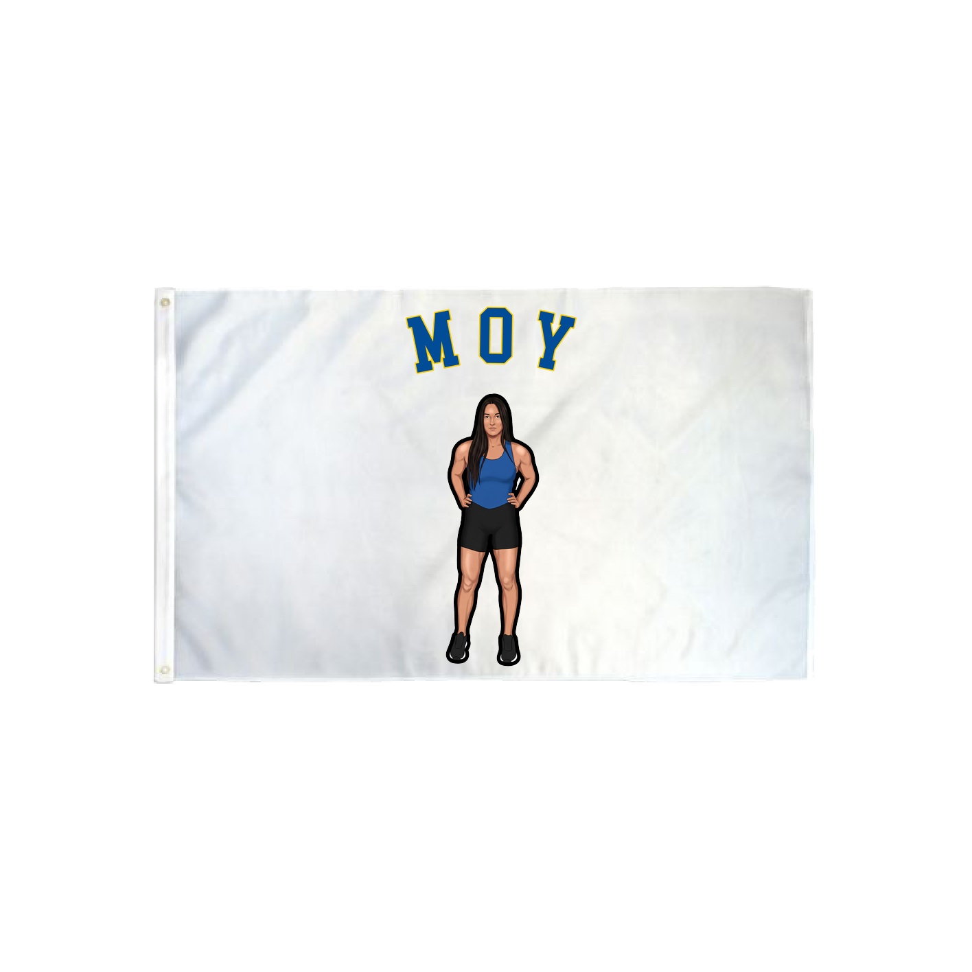 3x5 Flag — Shirsey Arch in Classic