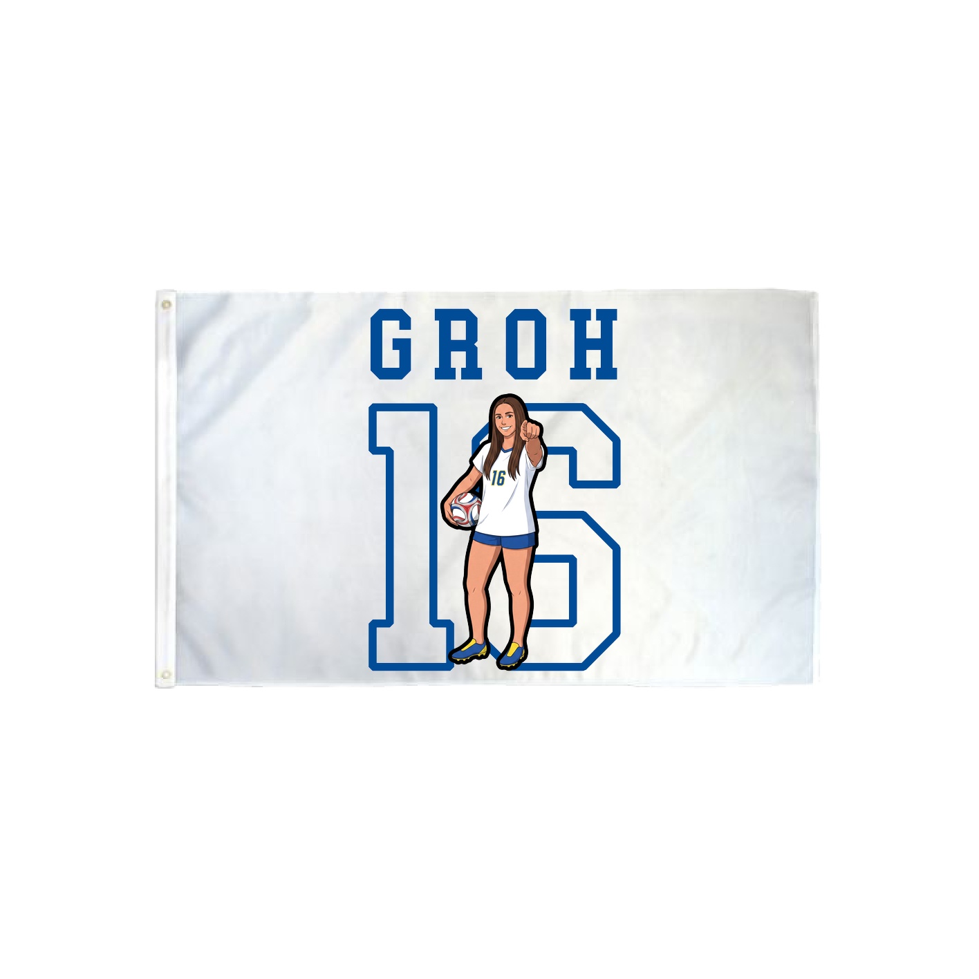 3x5 Flag — Shirsey in Classic
