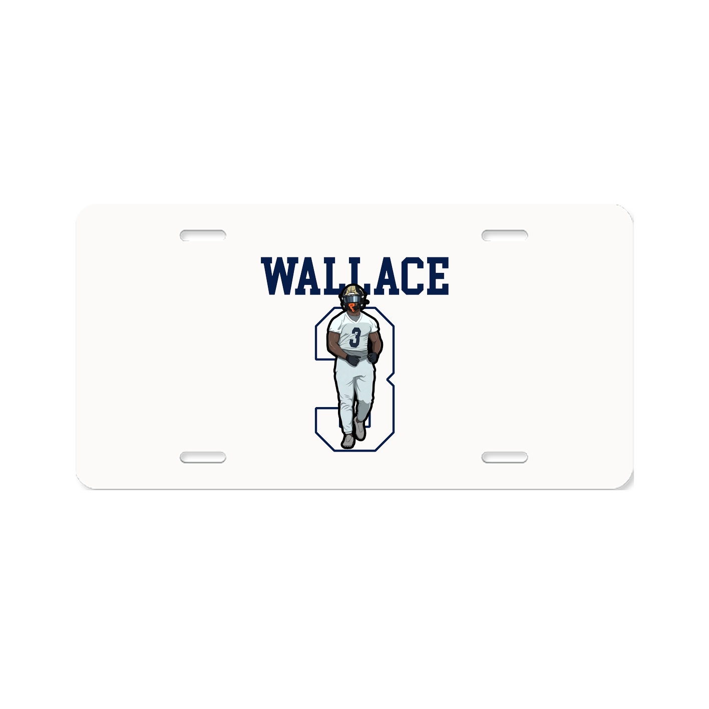 License Plate