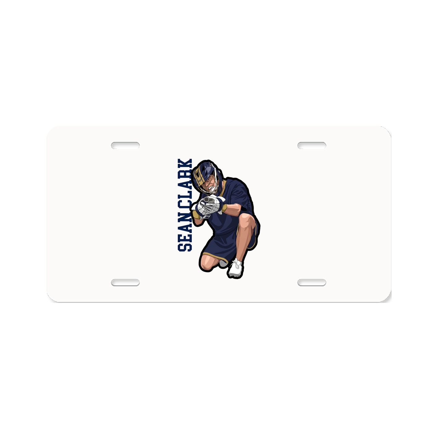 Aluminum License Plate