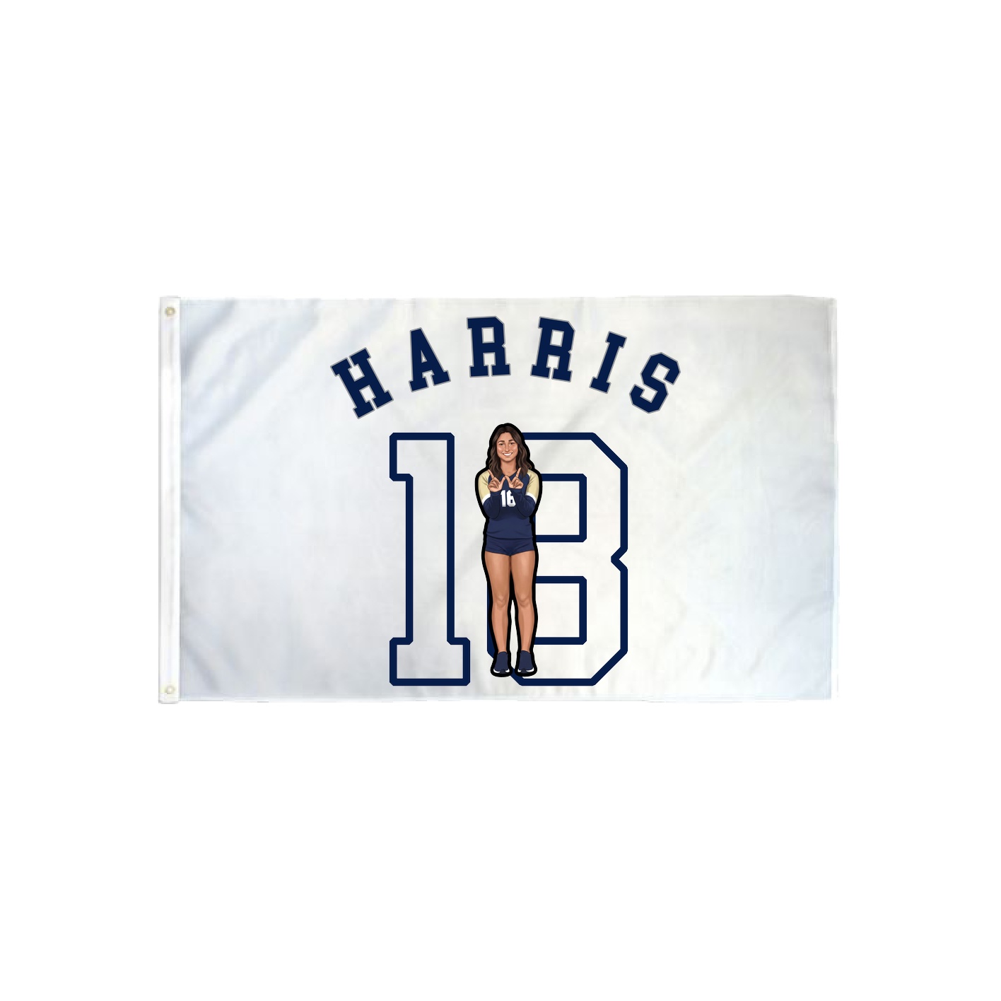 3x5 Flag — Shirsey Arch in Classic