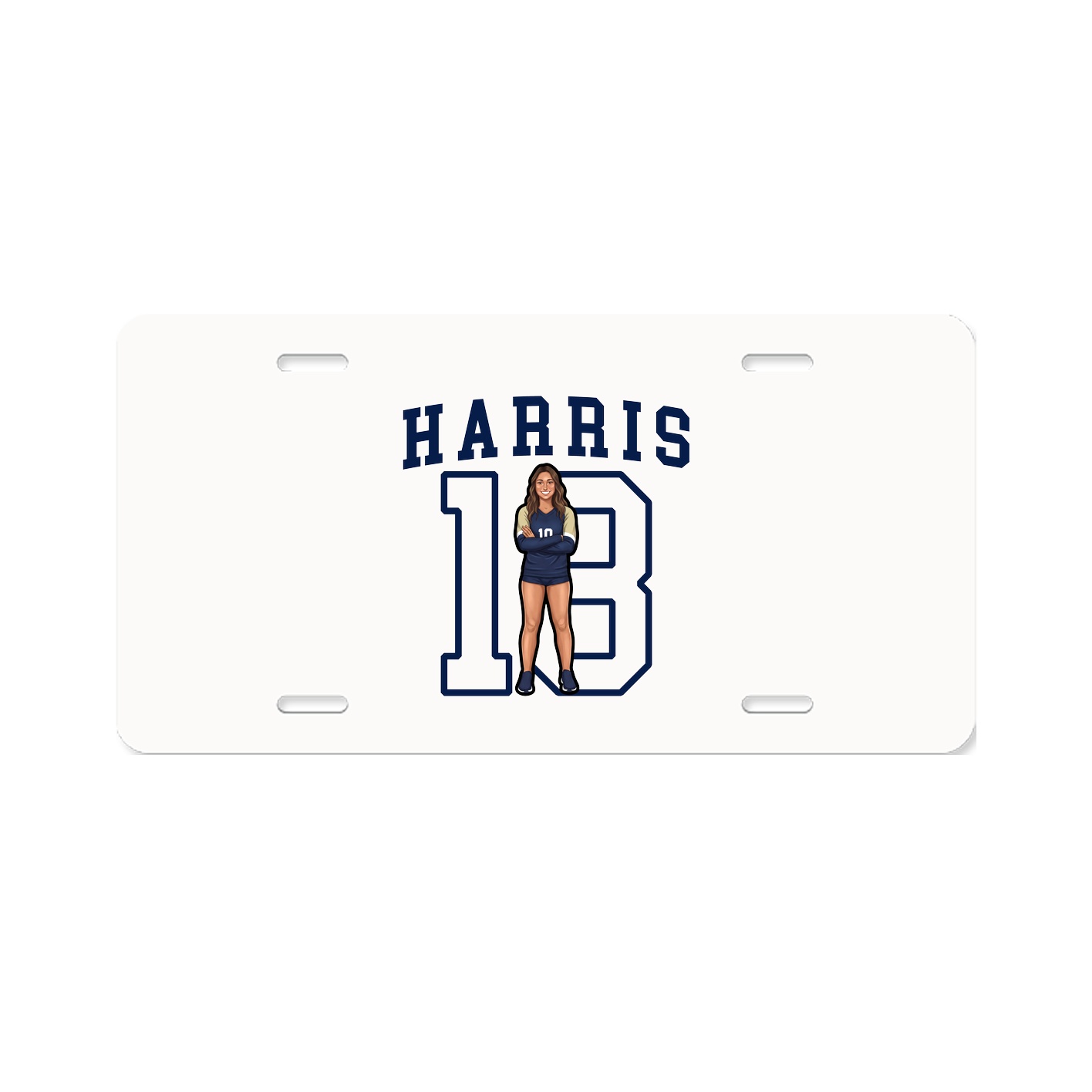 Aluminum License Plate