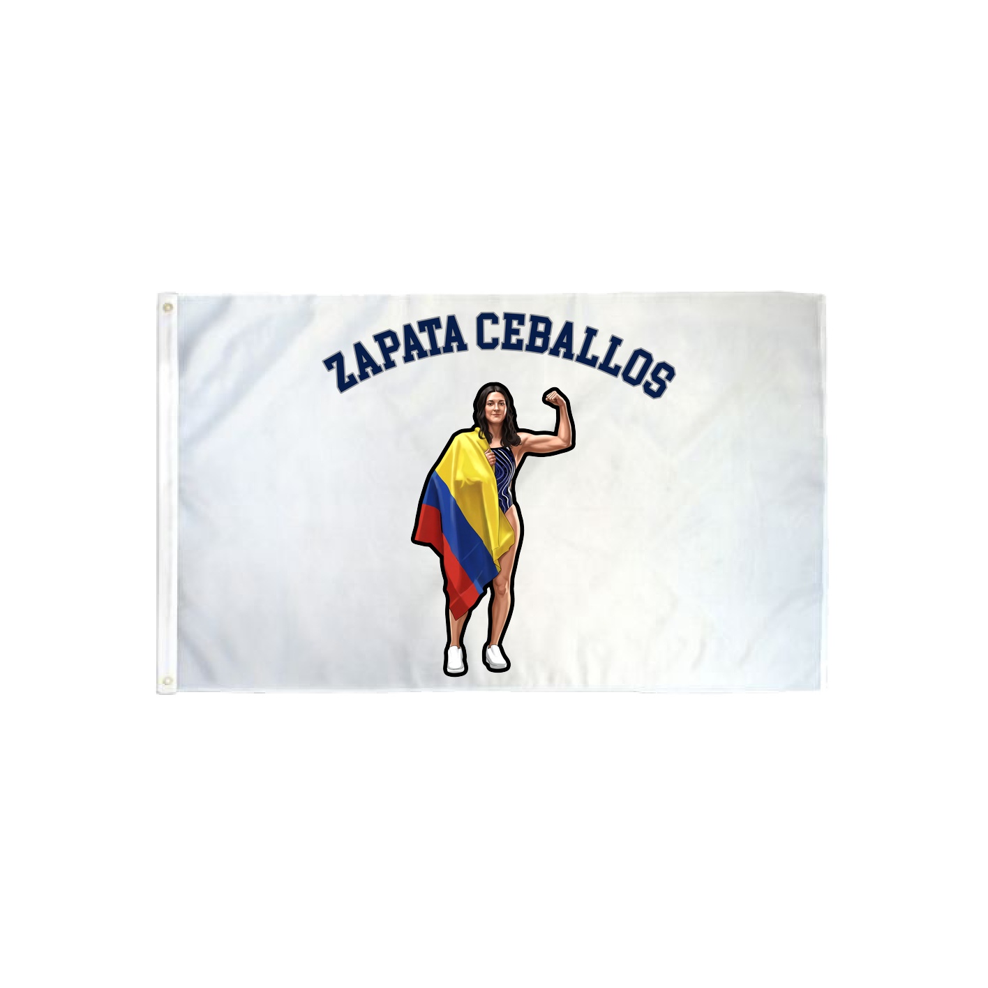 3x5 Flag — Shirsey Arch in Classic