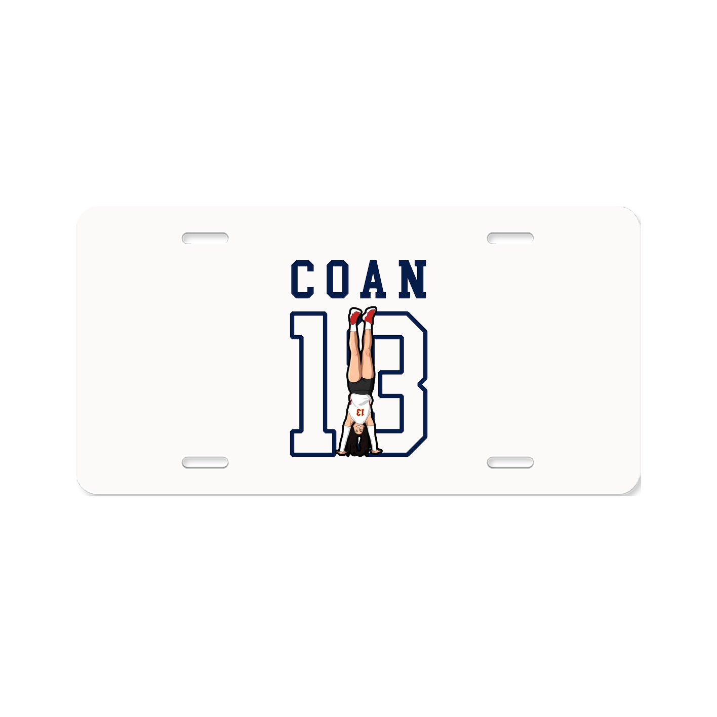 License Plate
