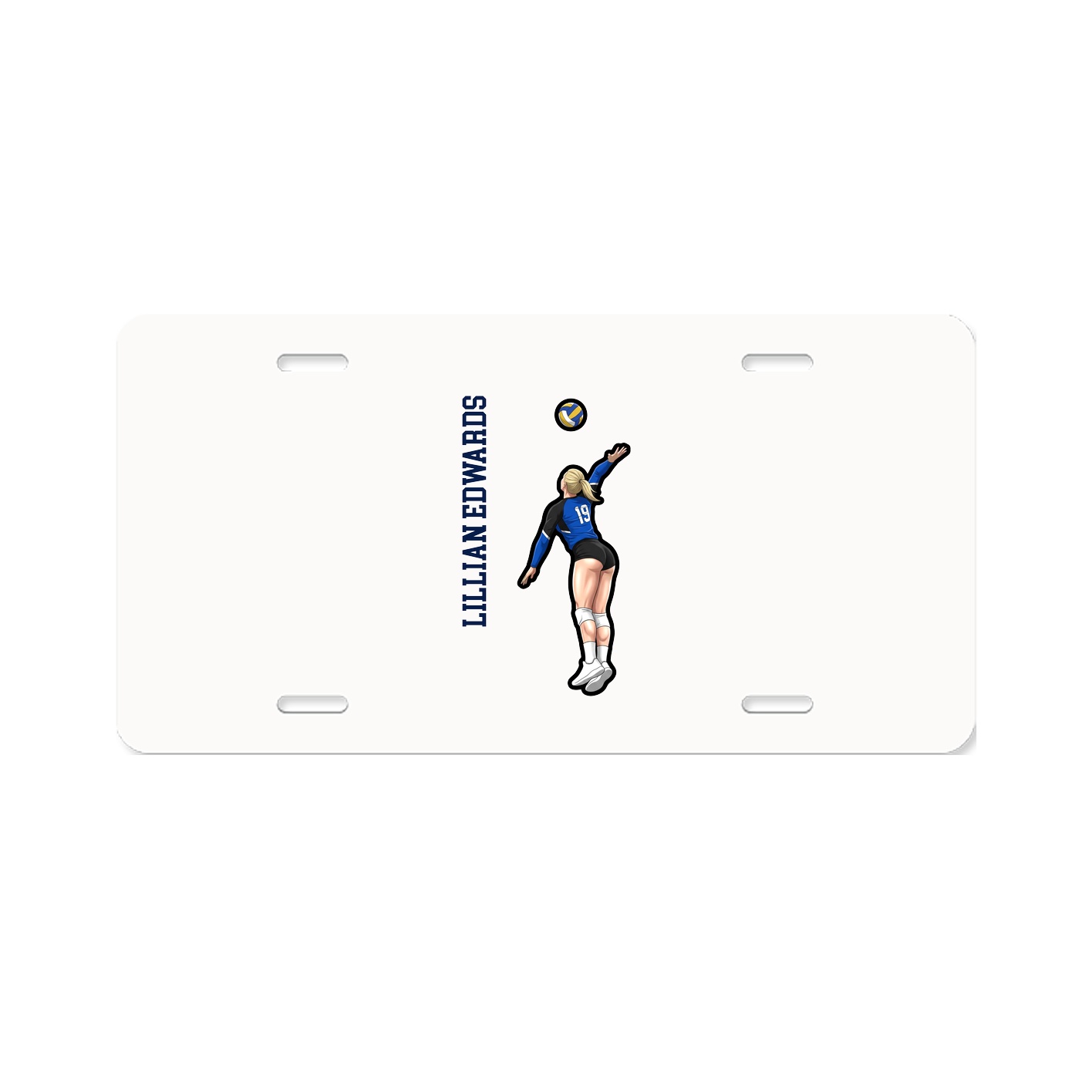 License Plate