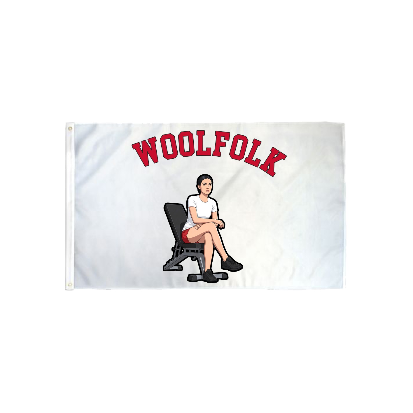 3x5 Flag — Shirsey Arch in Classic