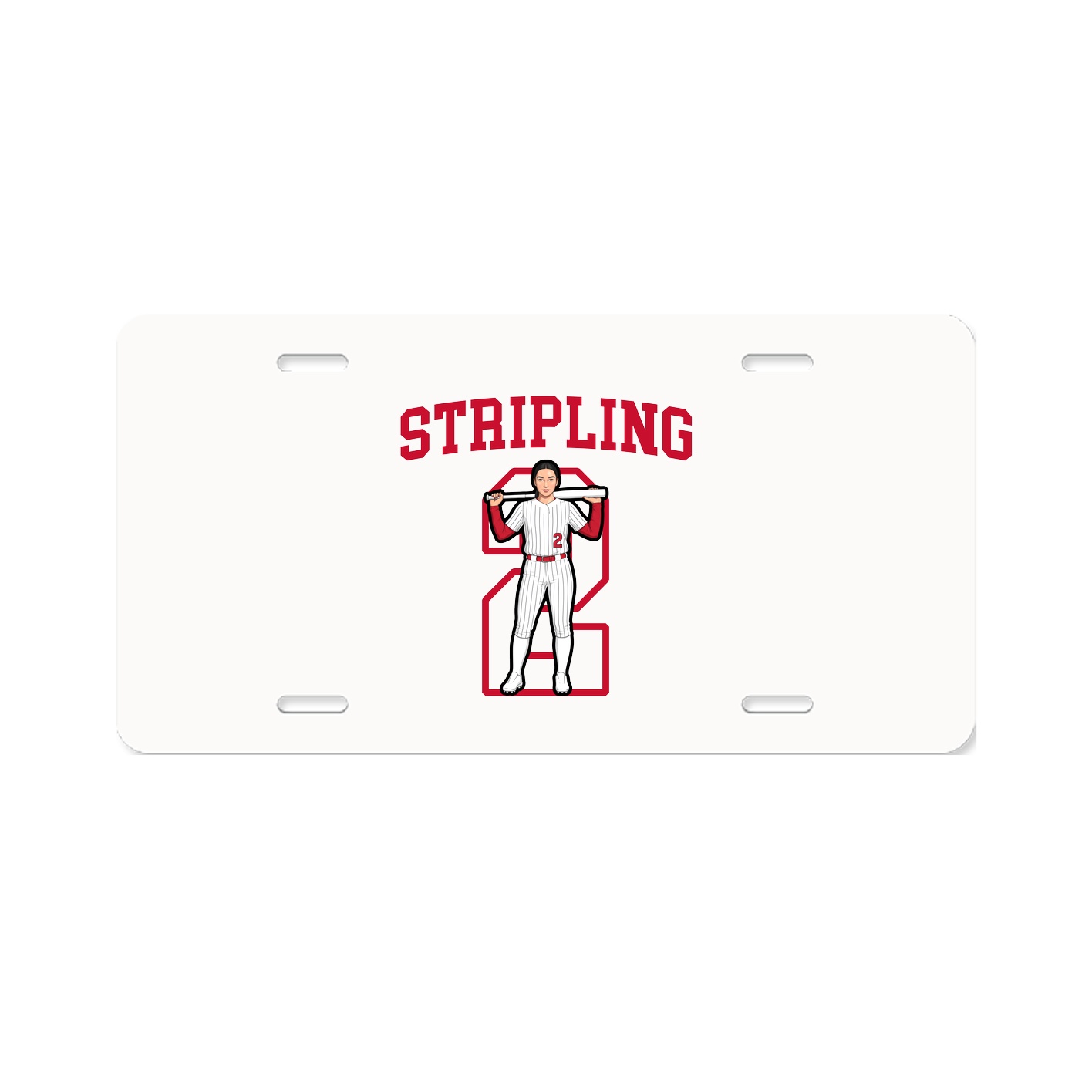 Aluminum License Plate