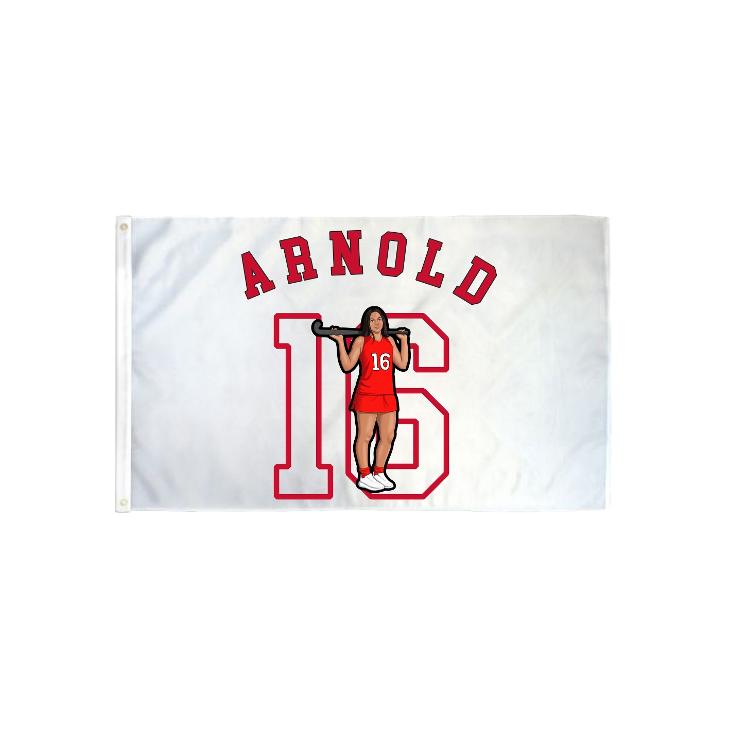 3x5 Flag — Shirsey Arch in Classic
