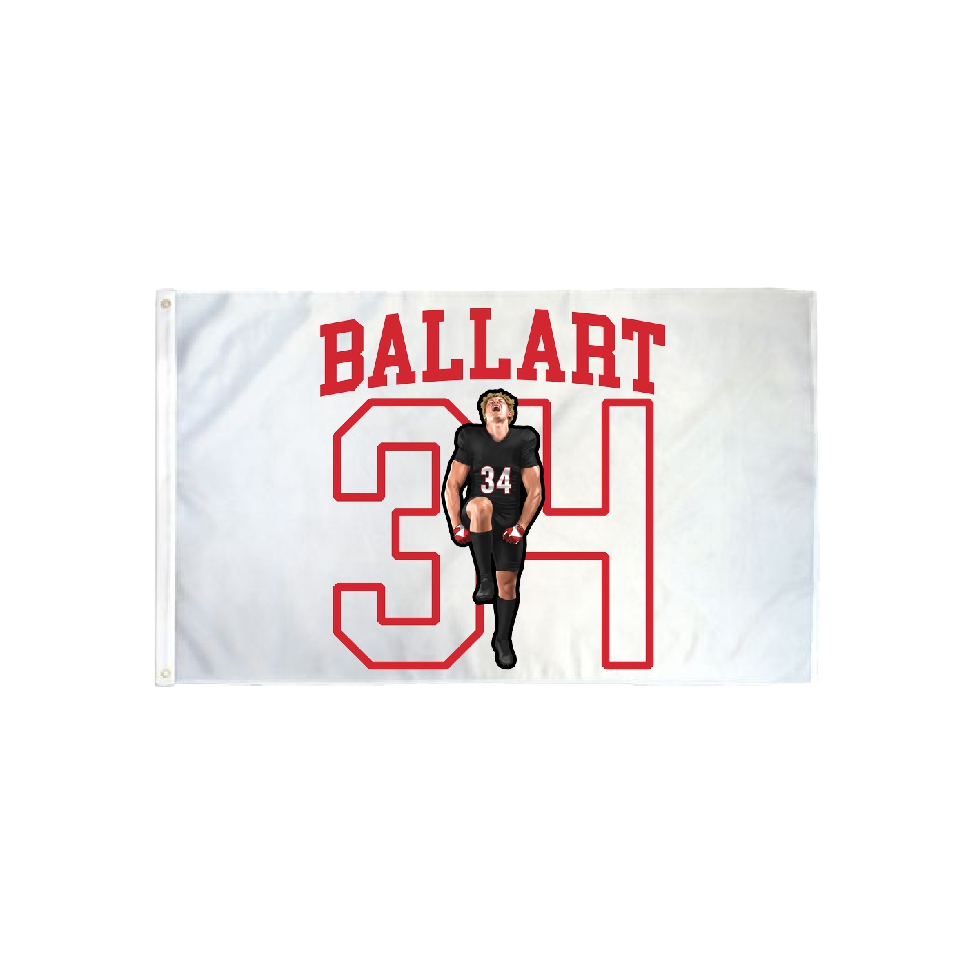 3x5 Flag — Shirsey in Classic