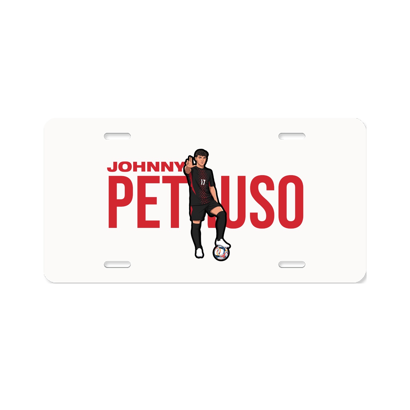 License Plate