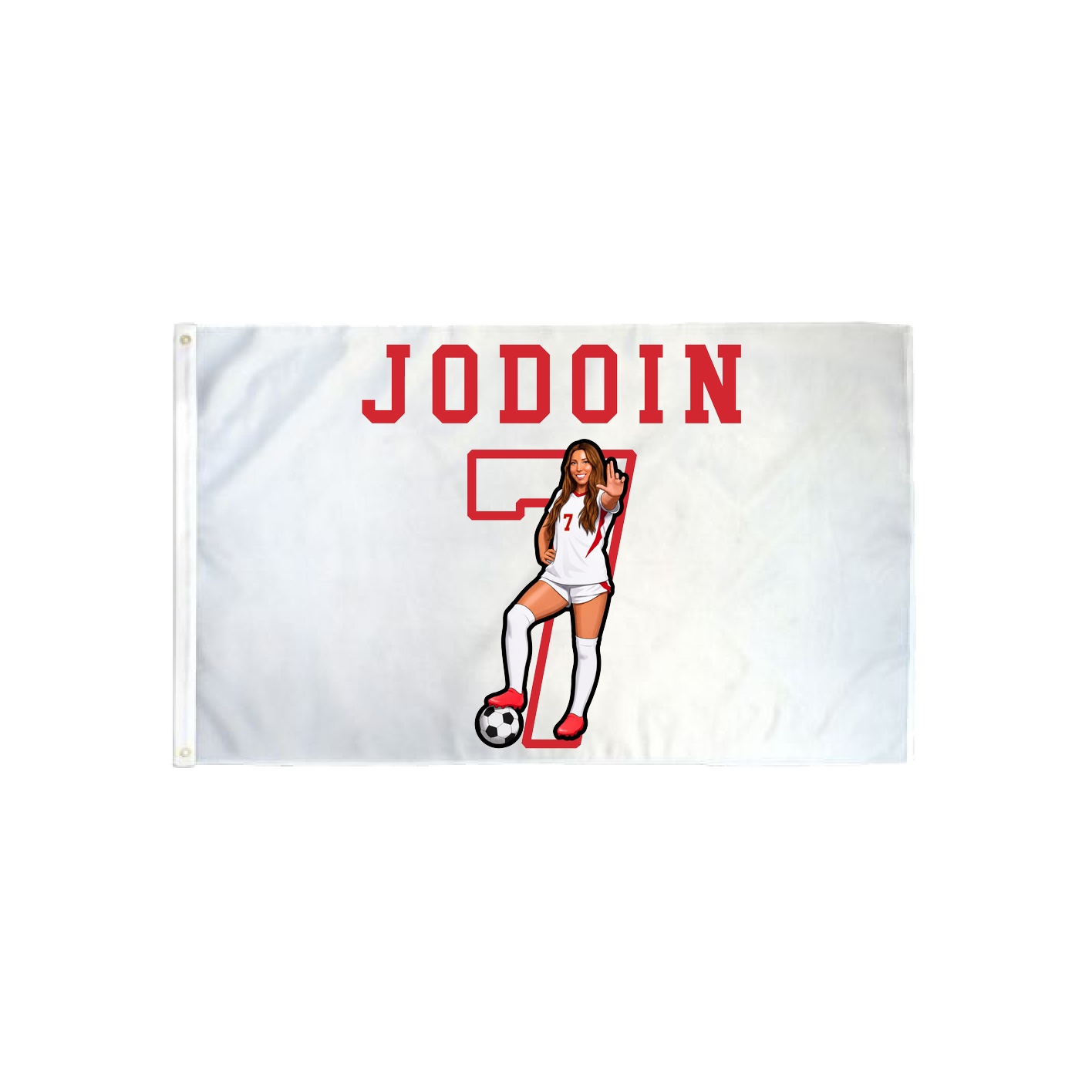 3x5 Flag — Shirsey in Classic