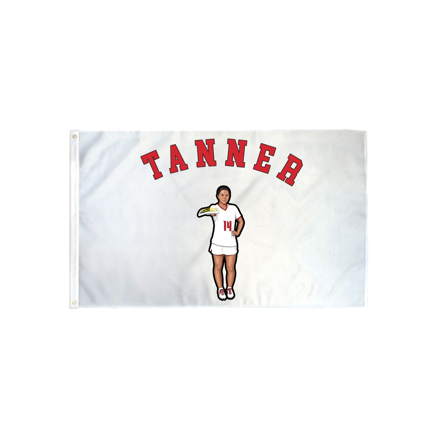 3x5 Flag — Shirsey Arch in Classic