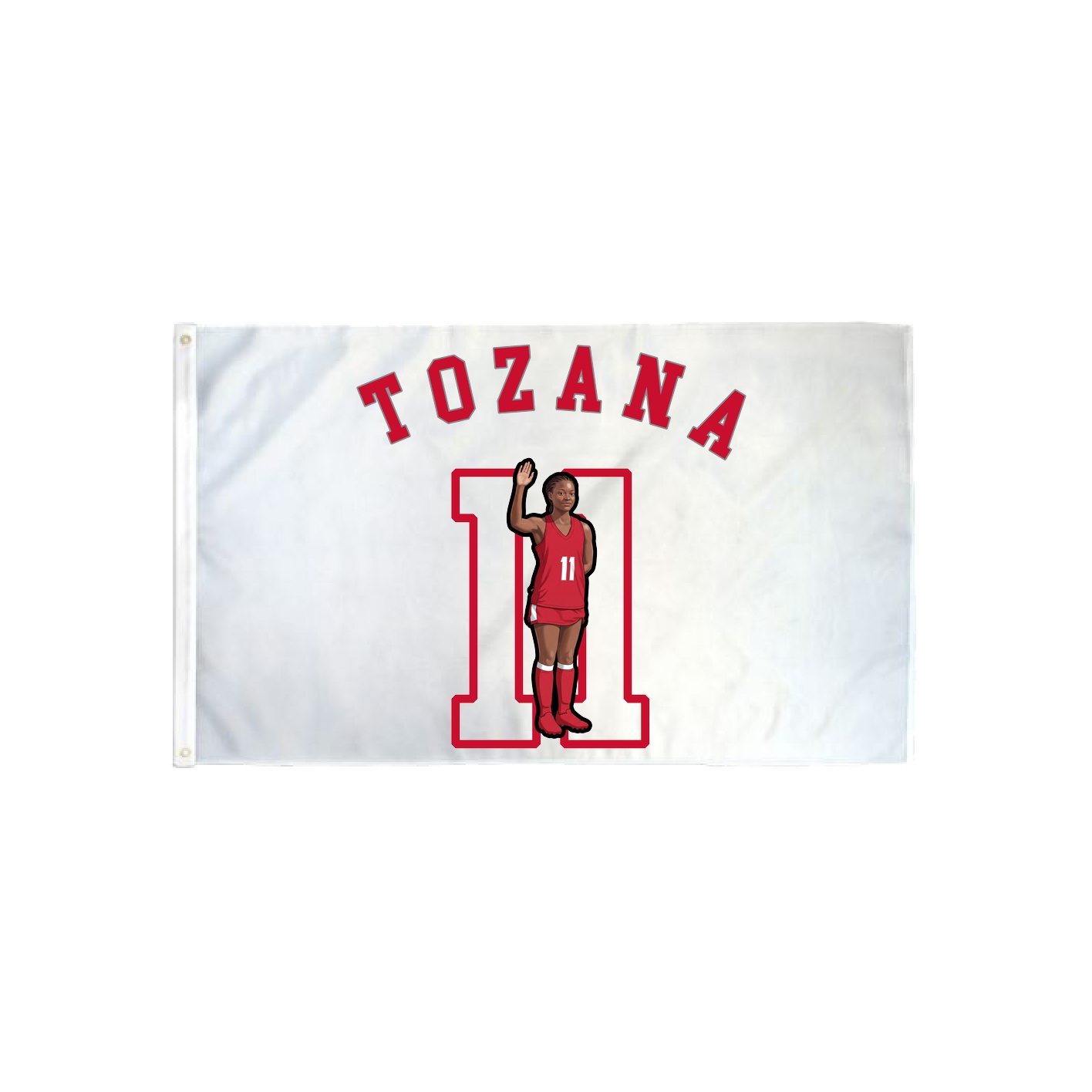 3x5 Flag — Shirsey Arch in Classic