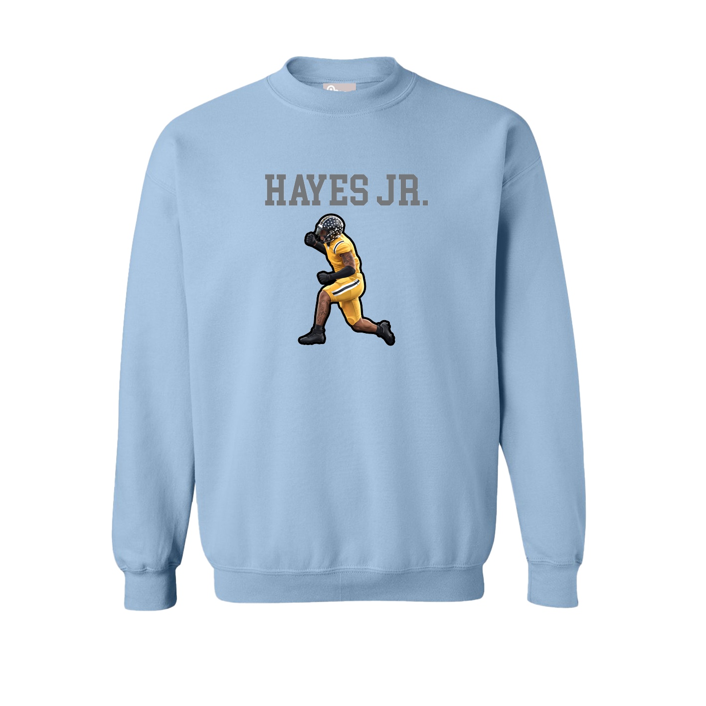 Fleece Crew — Shirsey in Light Blue