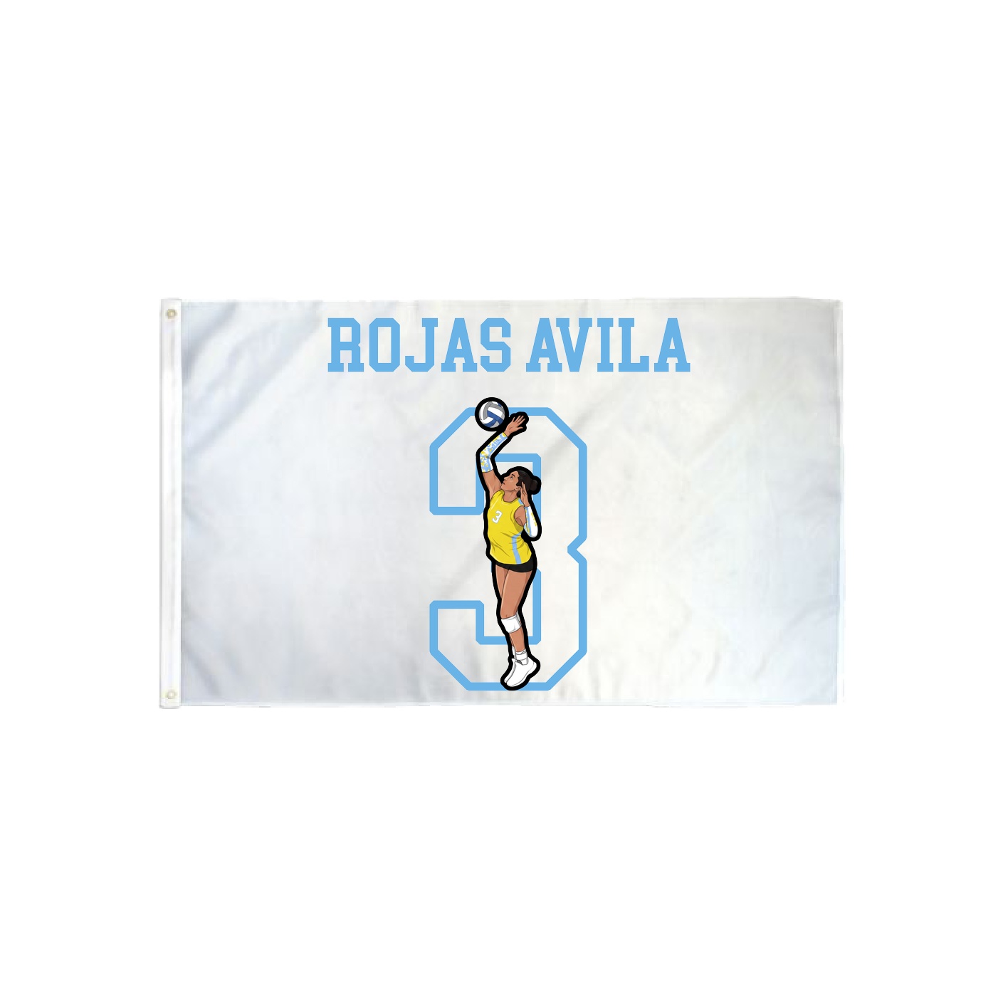 3x5 Flag — Shirsey in Classic
