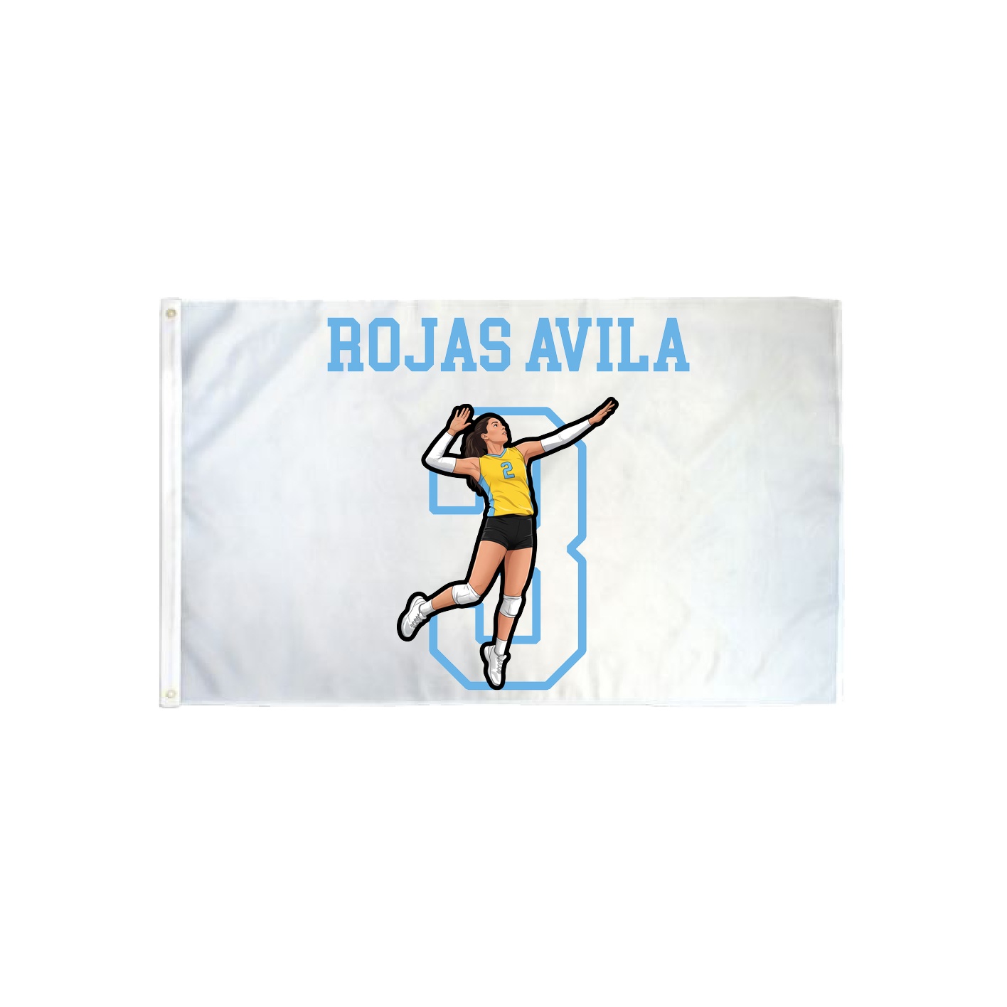 3x5 Flag — Shirsey in Classic