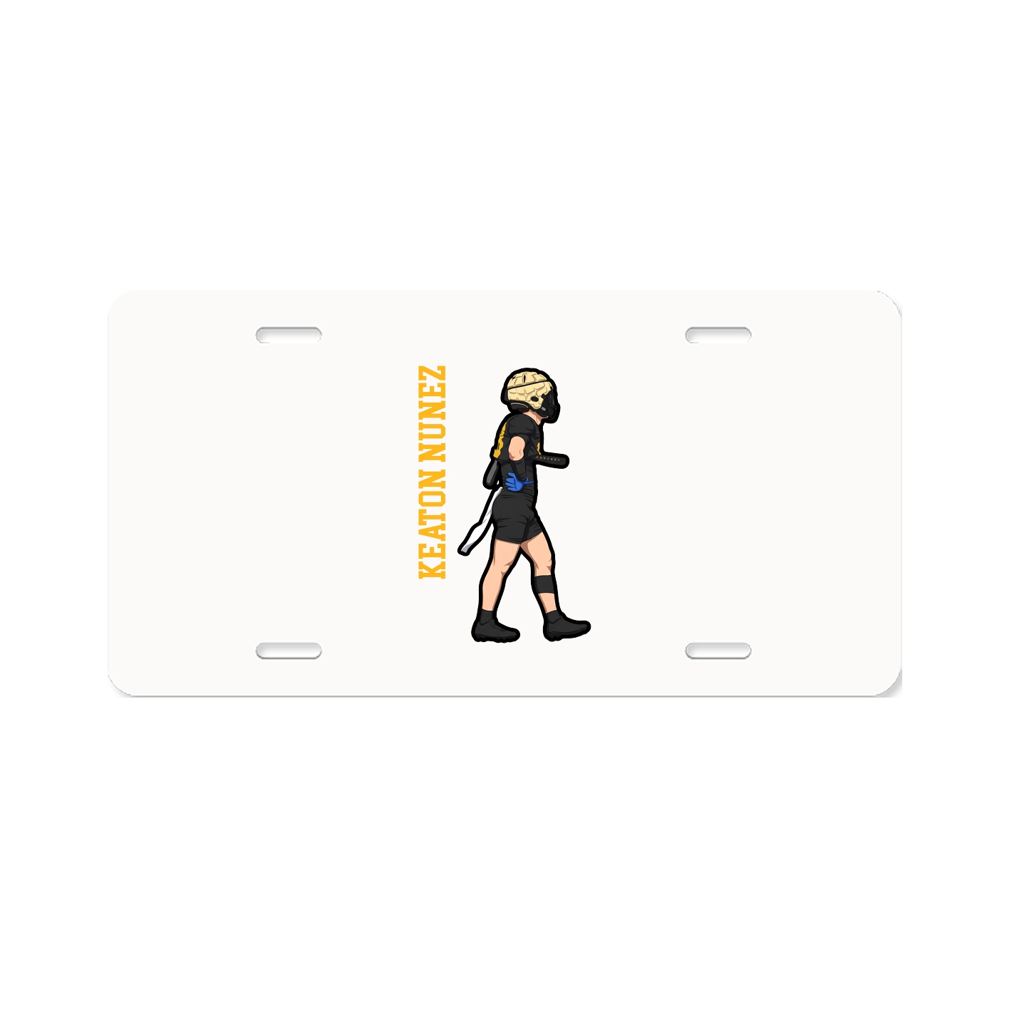 Aluminum License Plate