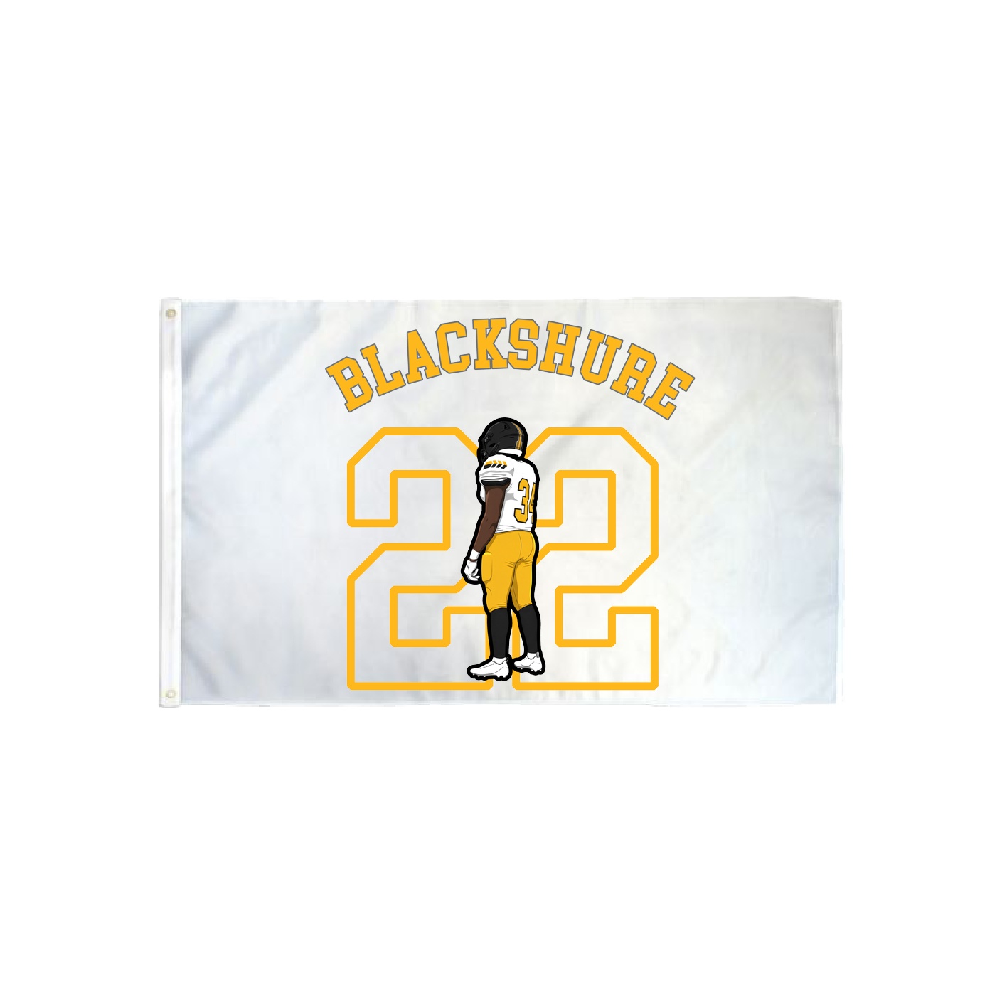 3x5 Flag — Shirsey Arch in Classic
