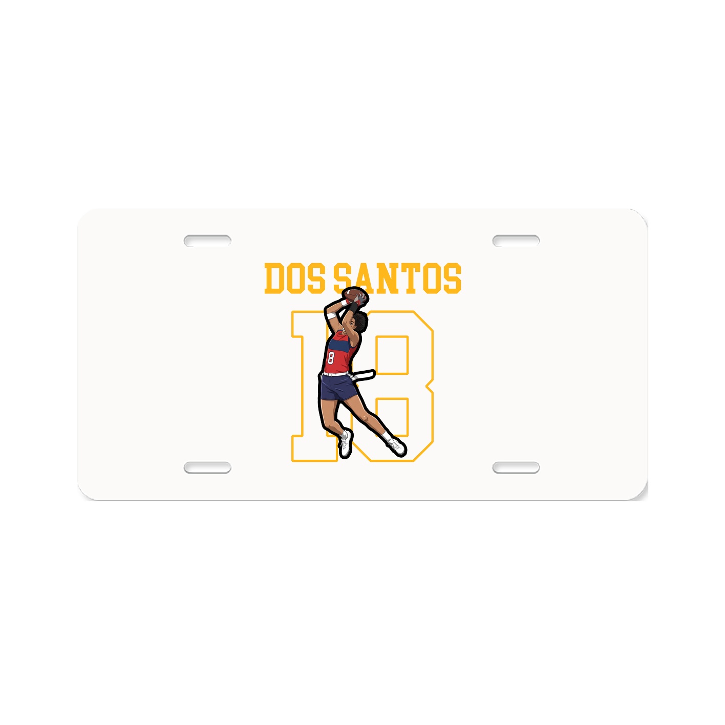 License Plate