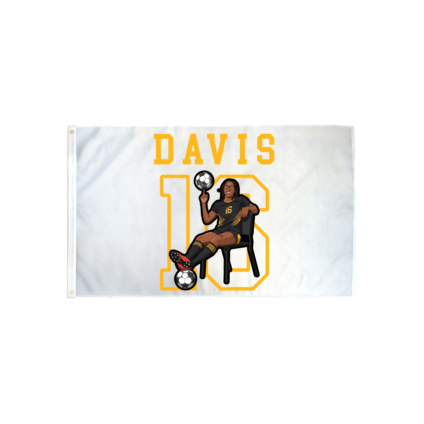 3x5 Flag — Shirsey in Classic