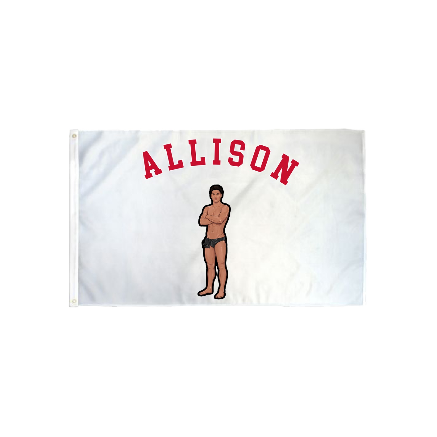 3x5 Flag — Shirsey Arch in Classic