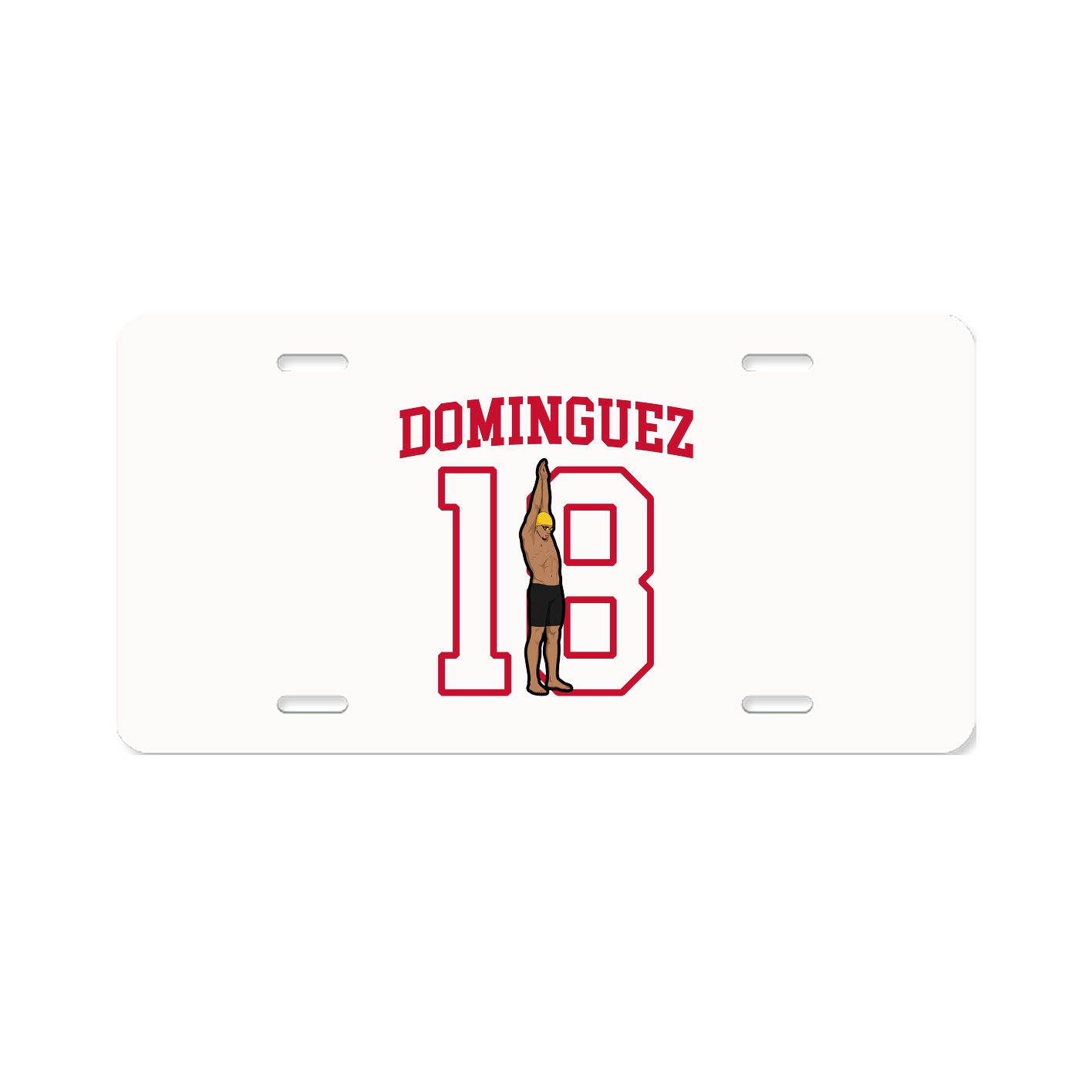 Aluminum License Plate