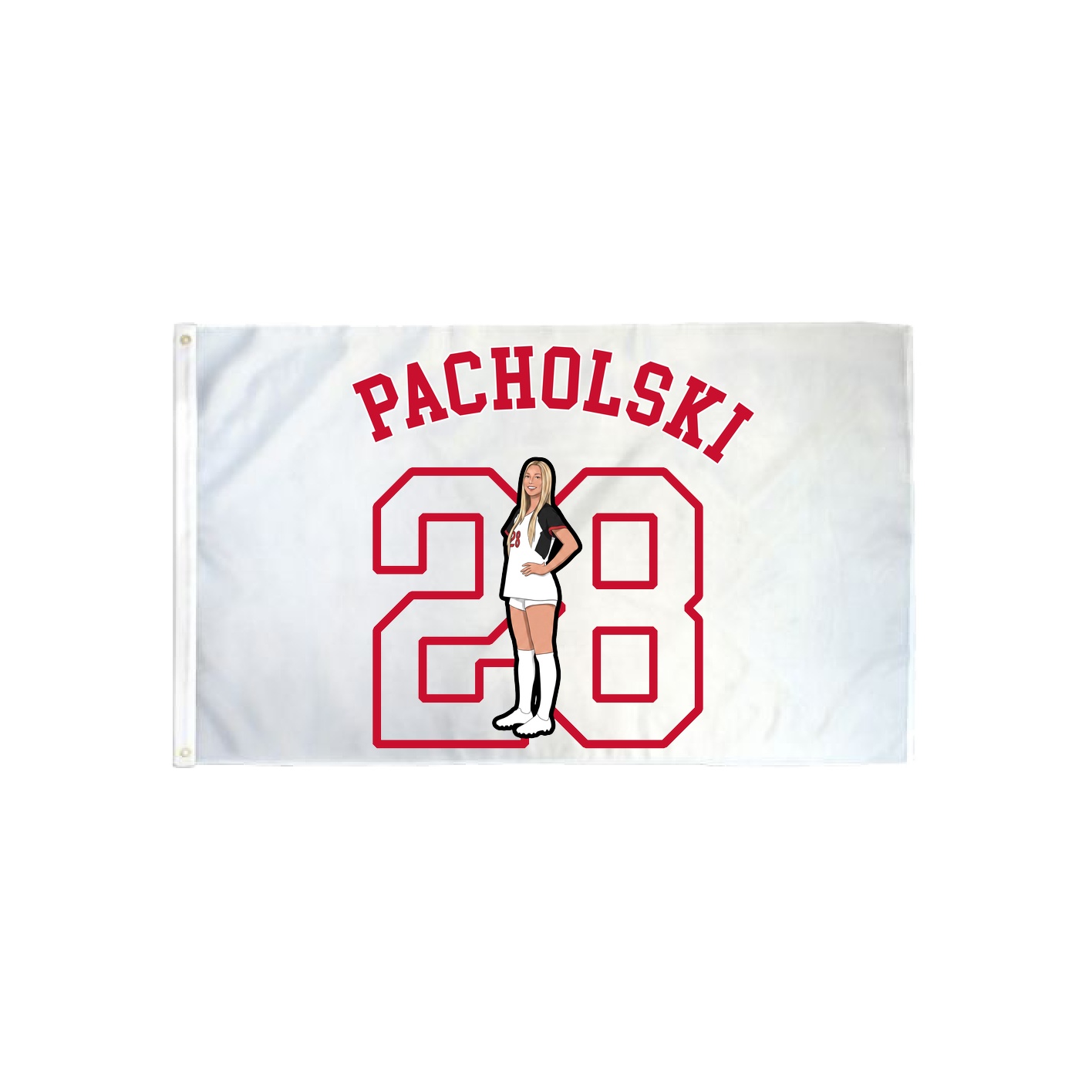 3x5 Flag — Shirsey Arch in Classic
