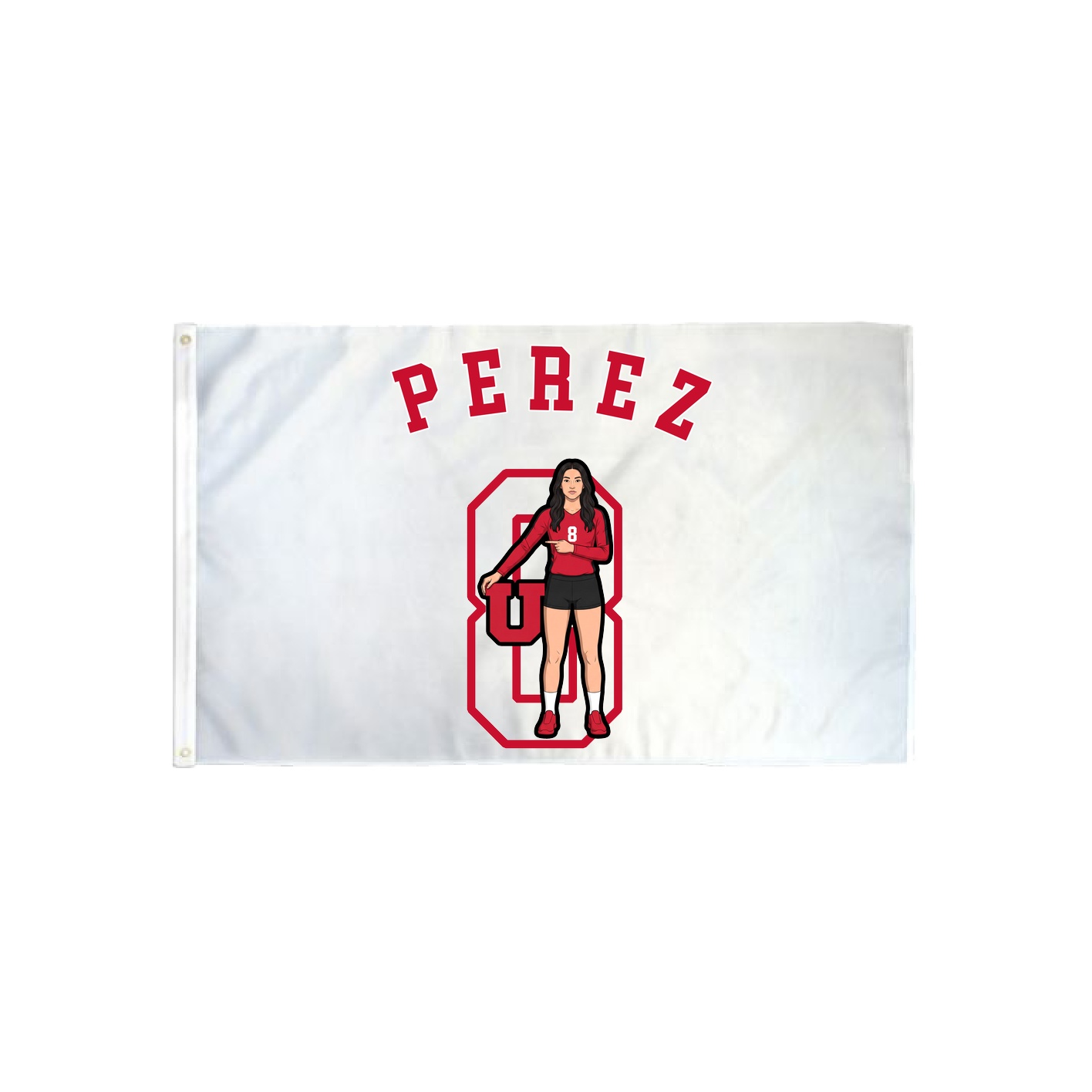 3x5 Flag — Shirsey Arch in Classic