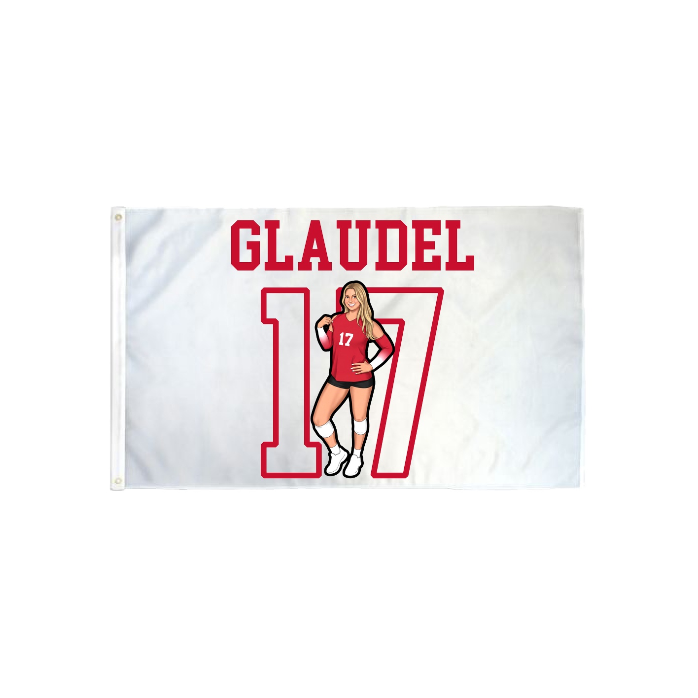 3x5 Flag — Shirsey in Classic