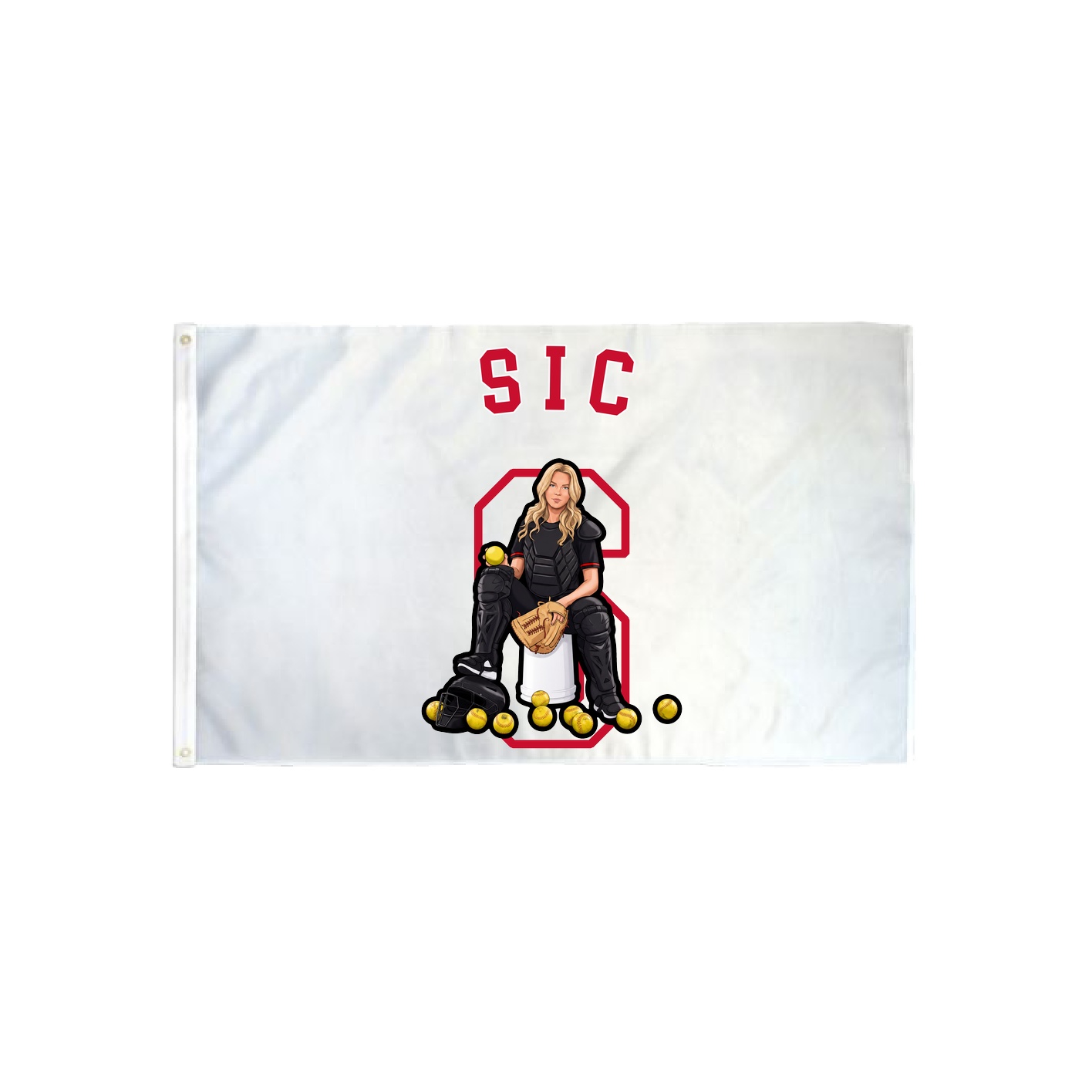 3x5 Flag — Shirsey Arch in Classic